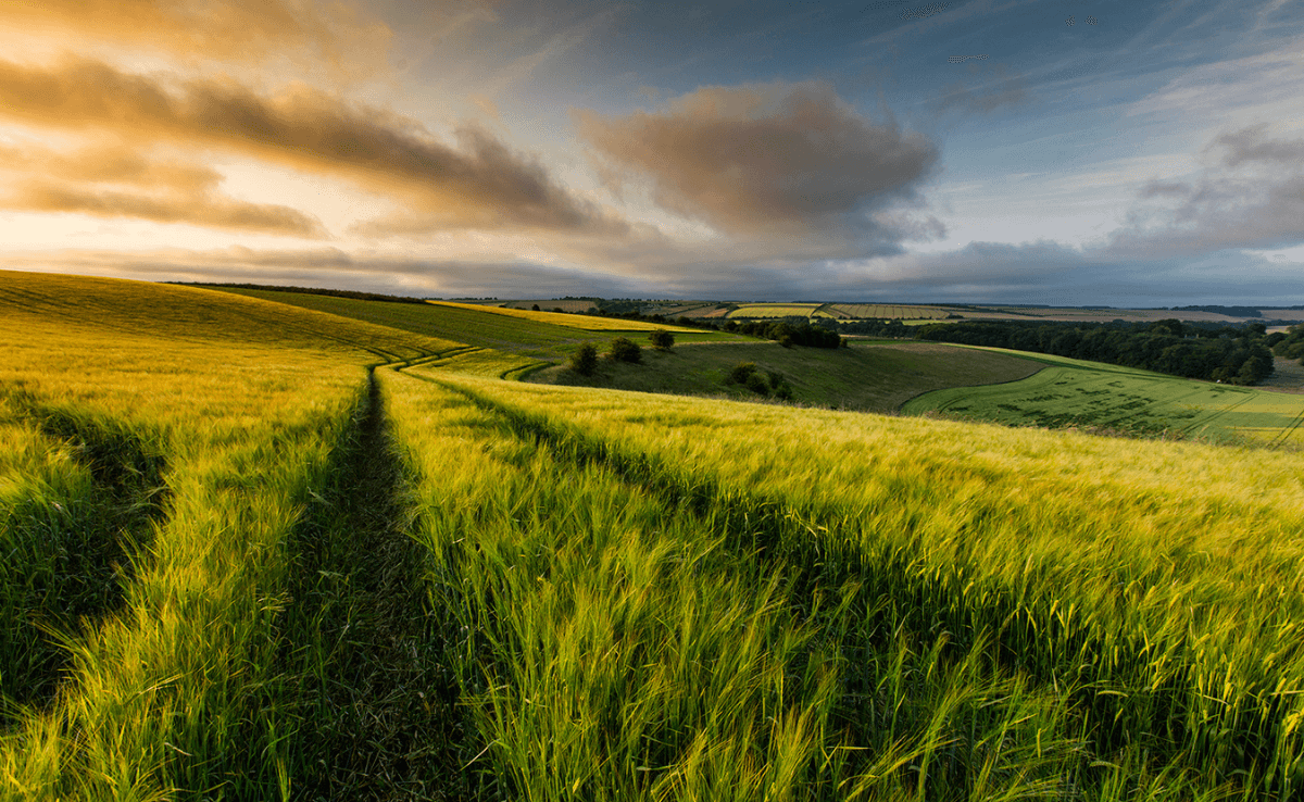 A Guide To The Lincolnshire Wolds
