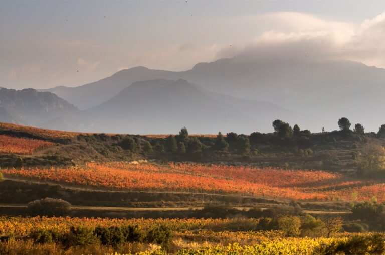 A Journey Through The Spanish Landscape Decanter