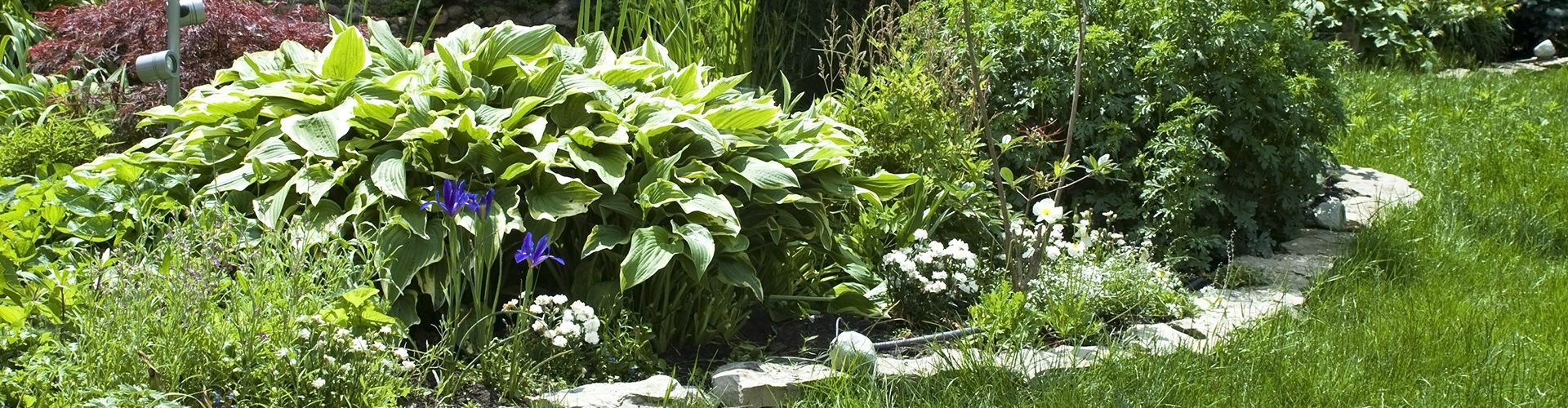 A S Landscape Design Your Premier Commercial Landscape Maintenance Company