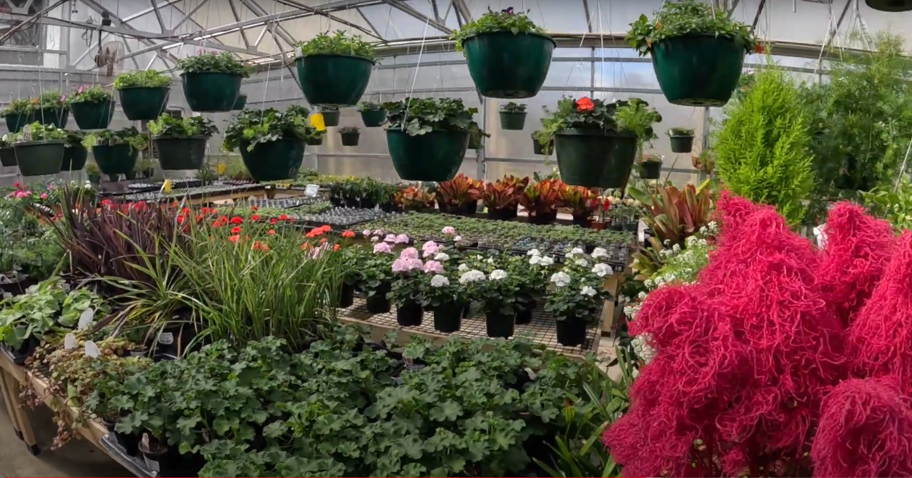 roots garden center & landscaping roots garden center & landscaping