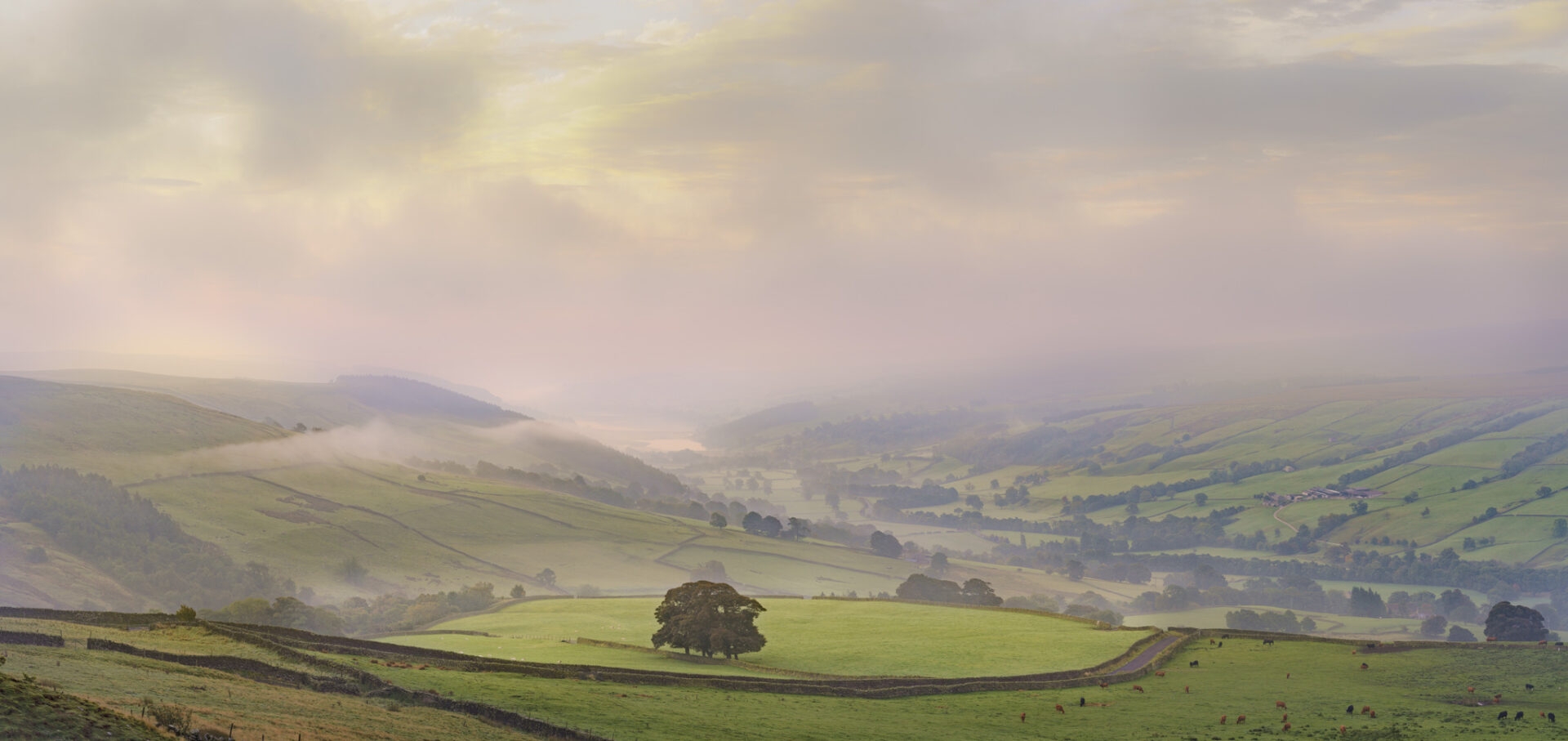 About Nidderdale National Landscape Nidderdale National Landscape