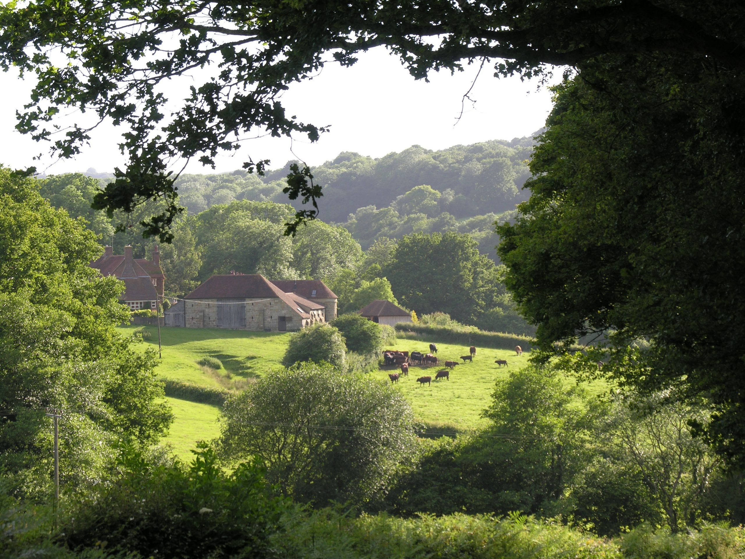 About The Landscape High Weald National Landscape