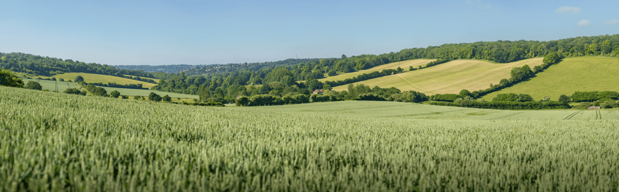 chiltern national landscape