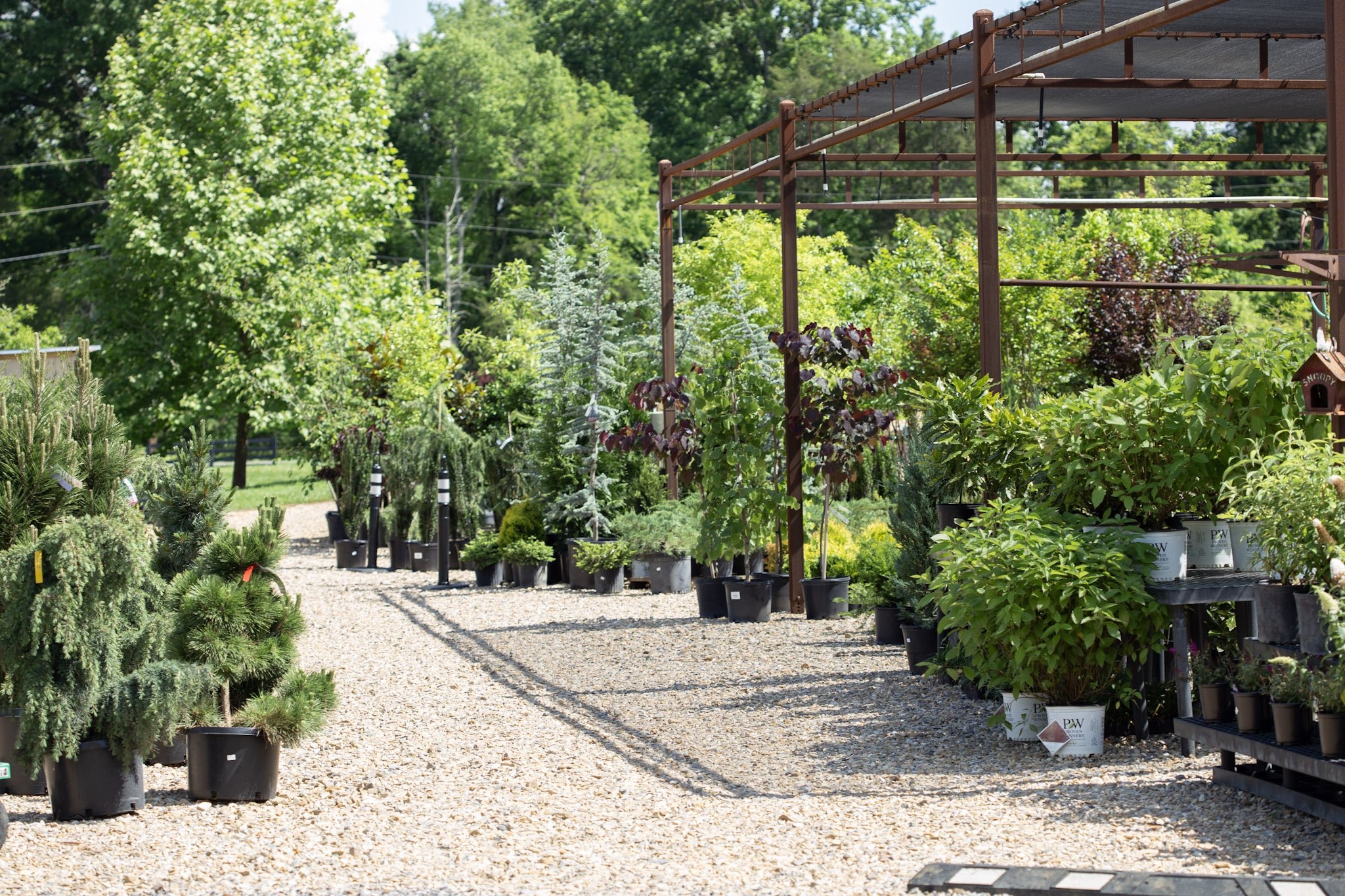 About Us Ace Outdoors Garden Center