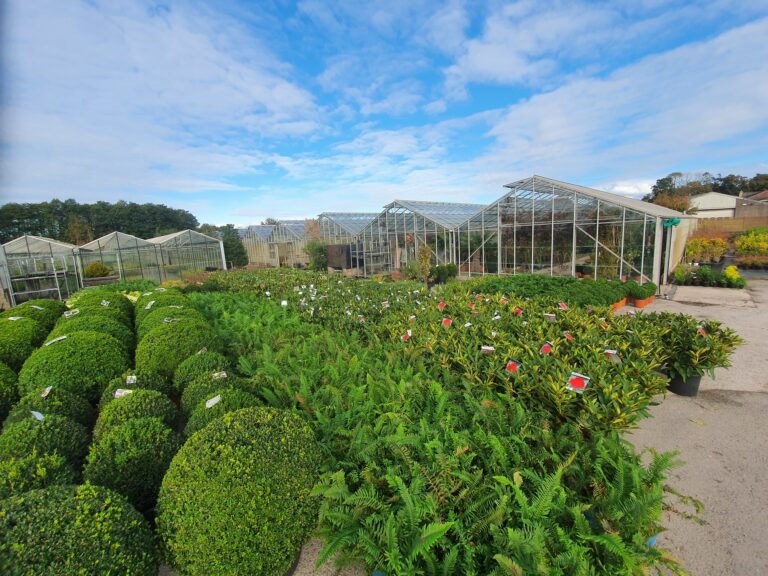 About Us Bannister Hall Landscape Supplies