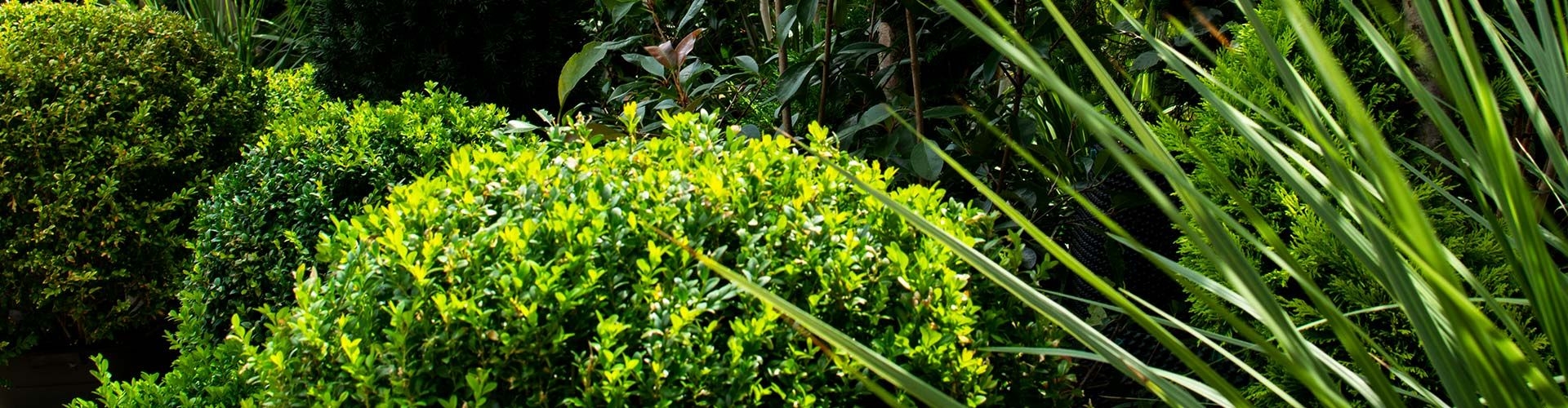 About Us Original Landscape Design