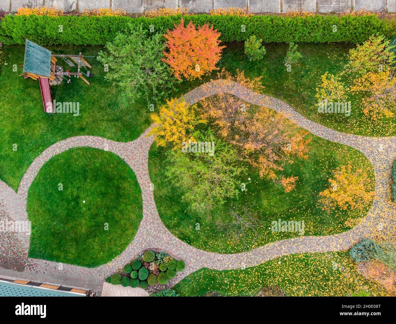 Aerail View Of Walk Path Between Multicoloroed Bright Vibrant Garden Tree First Fallen Dry Leaves On Green Grass Lawn At Home Yard Or City Park In Stock Photo Alamy