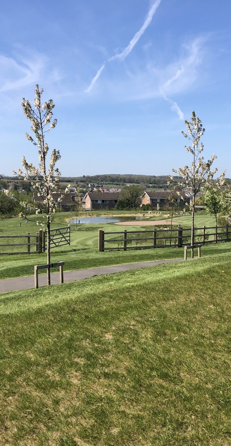 Afan Group Landscapes Ground Maintenance