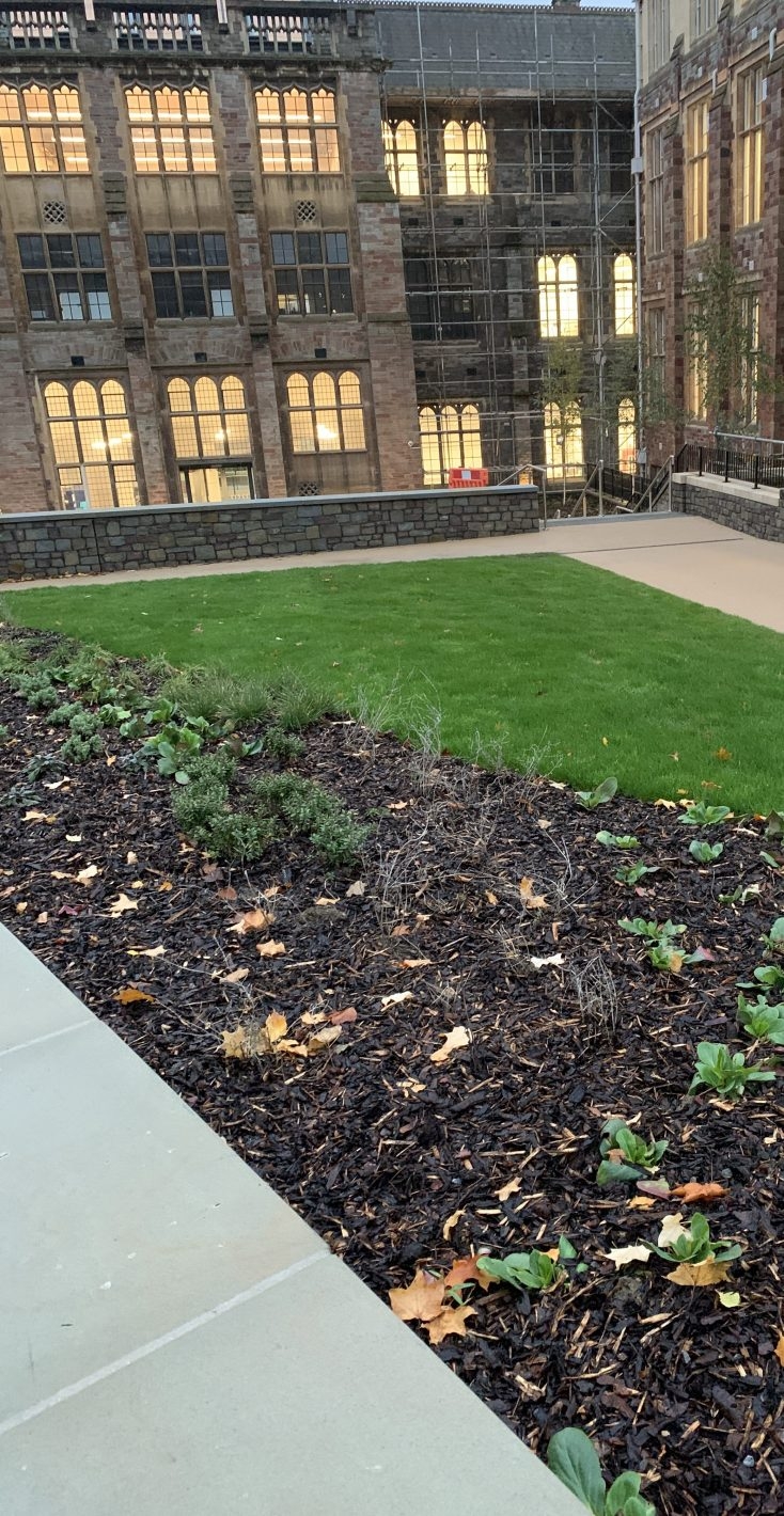 Afan Group Landscapes Ground Maintenance