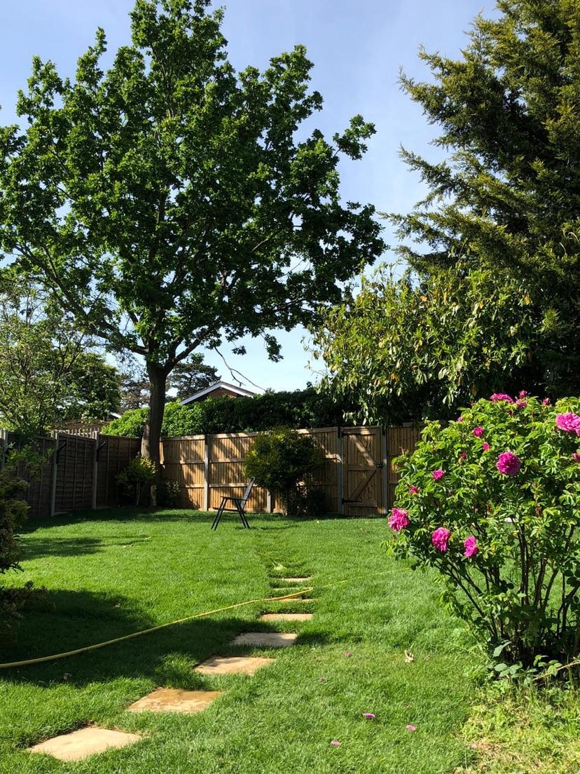 All Natural Landscaping St Albans