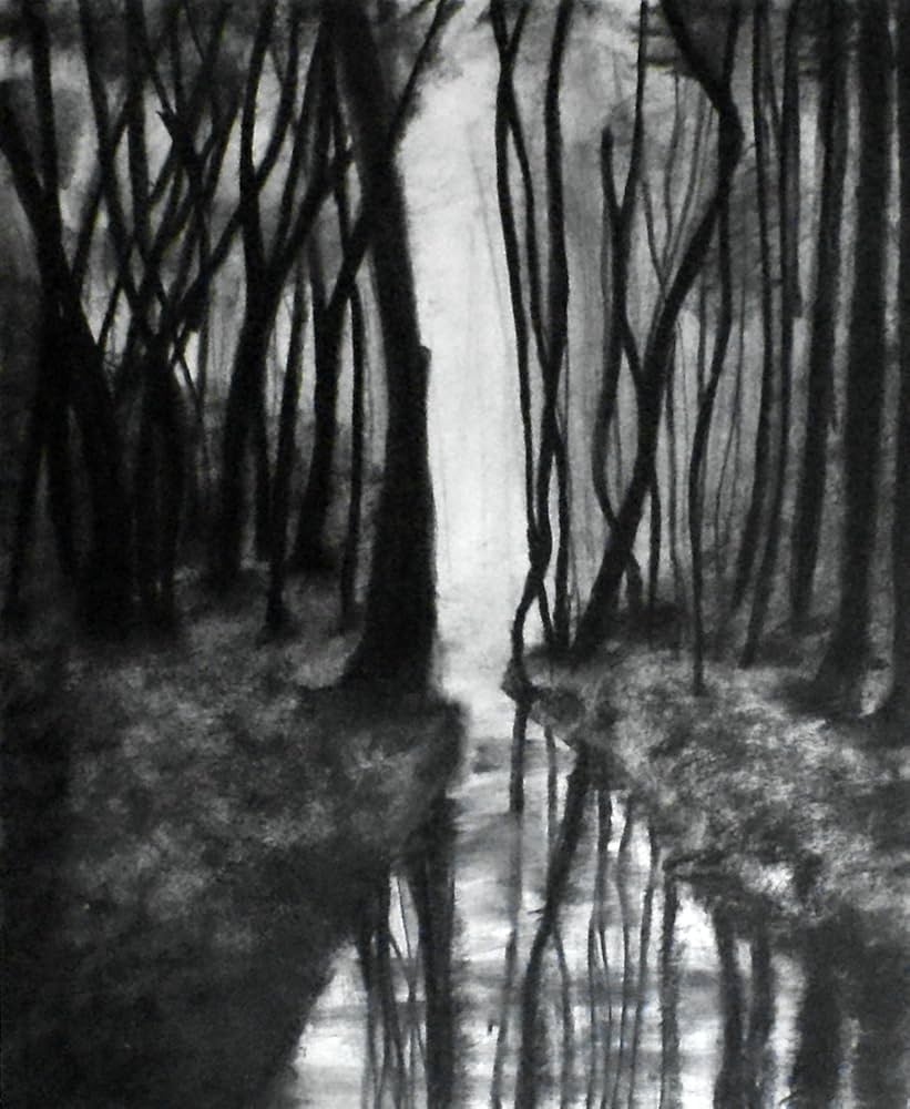 Amazon 1 11x14 Through The Woods Charcoal Drawing Original Landscape Art Country Drawing Home Decor Black White Landscape Fine Art And Illustration Gift Idea Home Kitchen