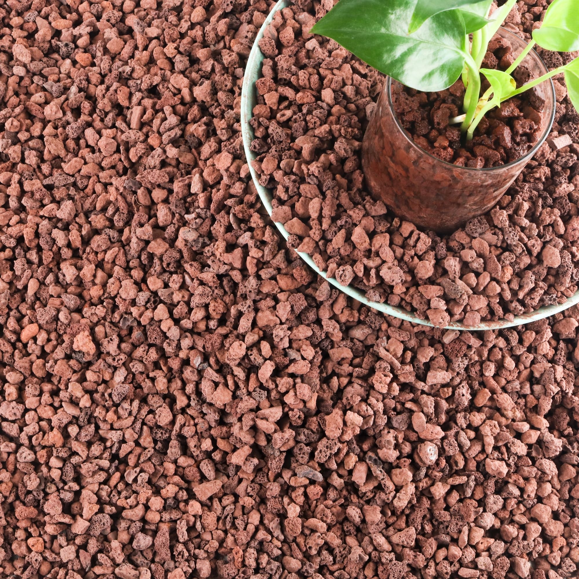 lava rock landscaping