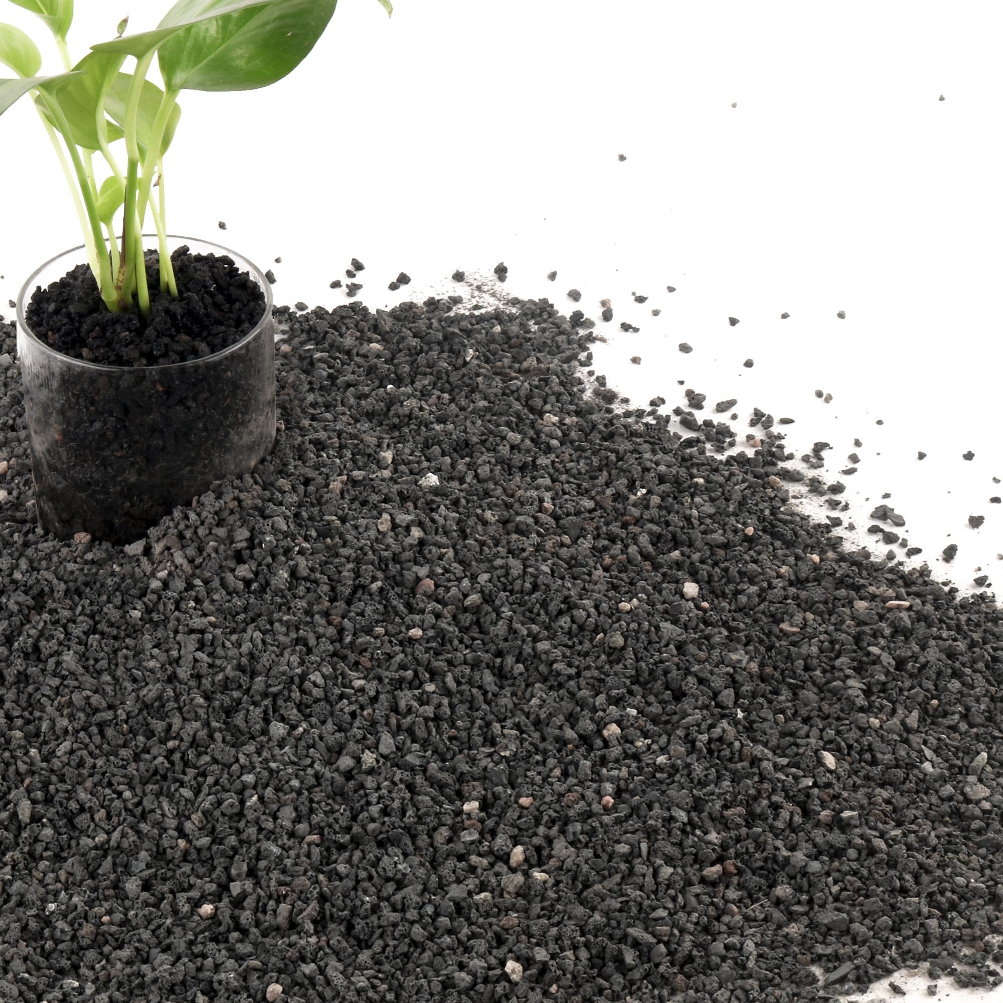 Amazon 7LB Black Lava Rocks For Plants Volcanic Rock Horticultural Lava Rock Soil For Landscaping Plants Drainage Small Lava Rock Gravel For Succulents Bonsai Vase Fillers Top Dressing Home 