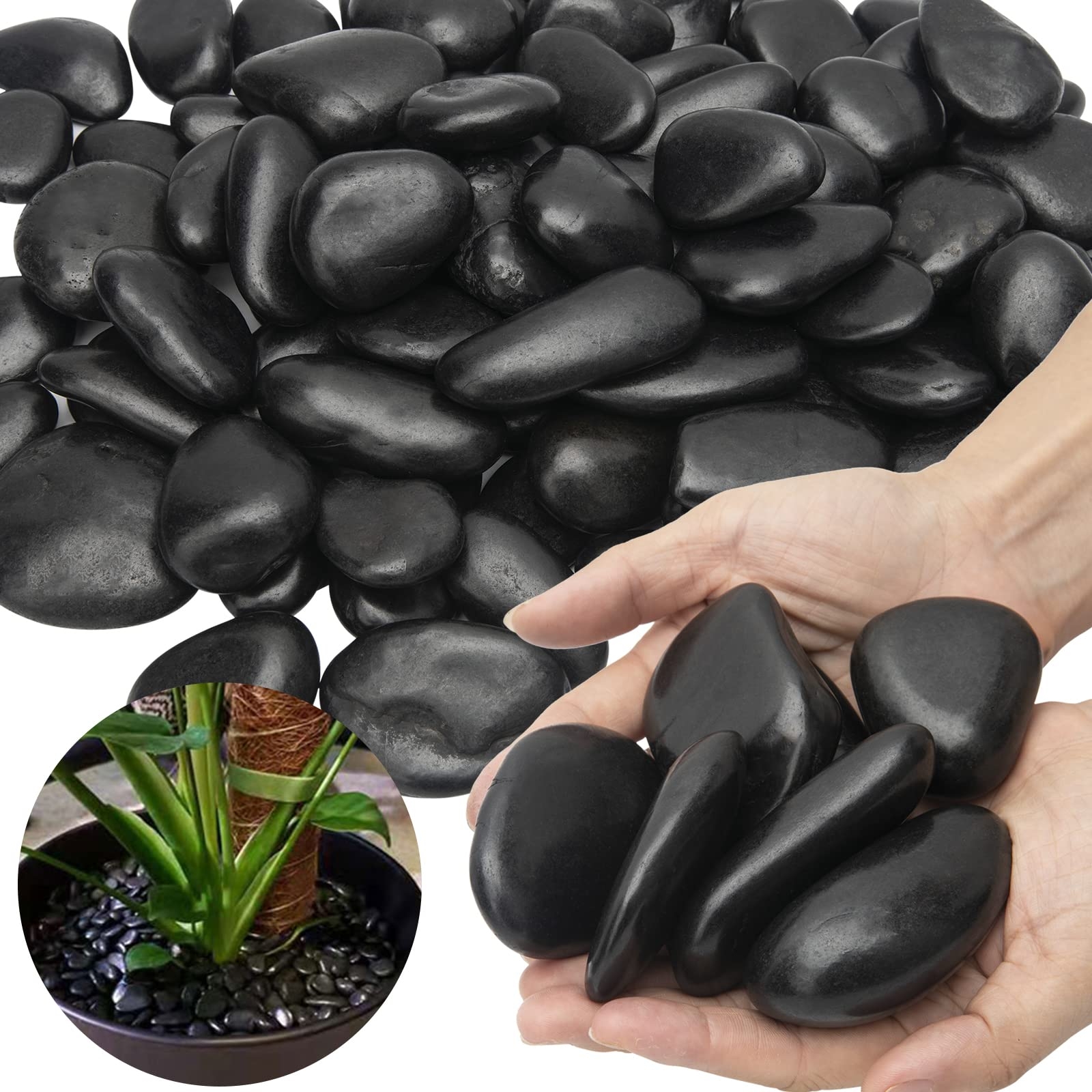 Amazon Black River Rocks Large Polished Black Pebbles For Plants Garden Decorative Stones 1 2 Inch 15 Pound Patio Lawn Garden