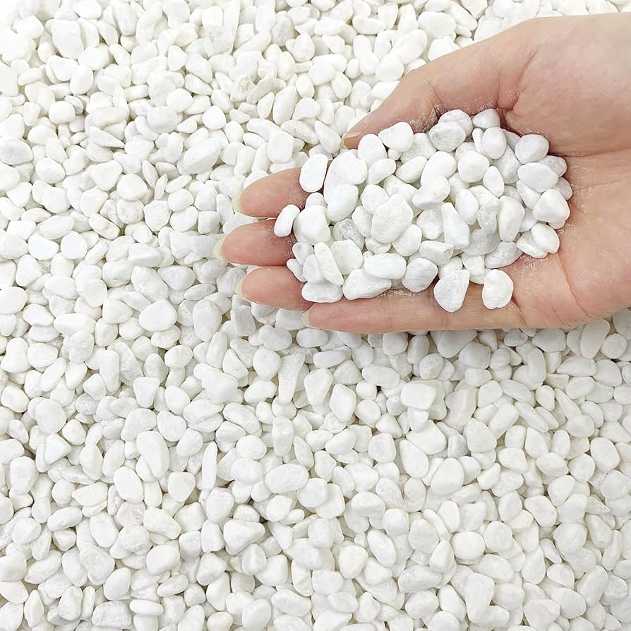 Amazon FANTIAN 10LB Natural Succulent Gravel Decorative White Rocks 3 8 Small White Pebbles For Plants Decorative Stones Succulent Rocks Pebbles For Planter Aquarium Pea Gravel For Landscaping Patio Lawn