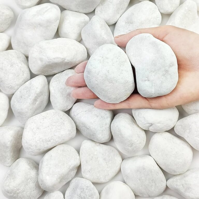 Amazon FANTIAN 20 Lbs White Rocks For Landscaping 2 3 Inch Large River Rocks Decorative Pebbles For Plants Indoor Vases Aquariums Gravel Crafting And Garden Pet Supplies