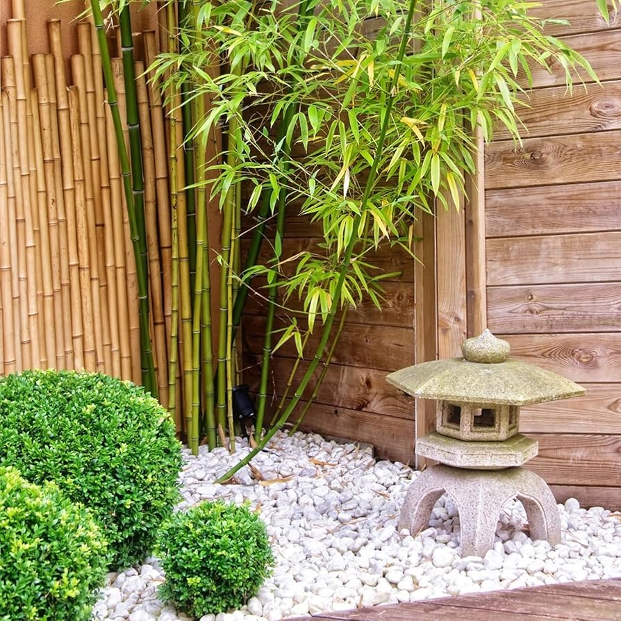 Amazon FANTIAN 40 Pounds Large White River Rocks For Outdoor Landscaping 2 3 Inch Natural White Stones For Planters Polished Decorative Pebbles For Indoor Plants Vase Aquarium And Garden Rocks Patio Lawn