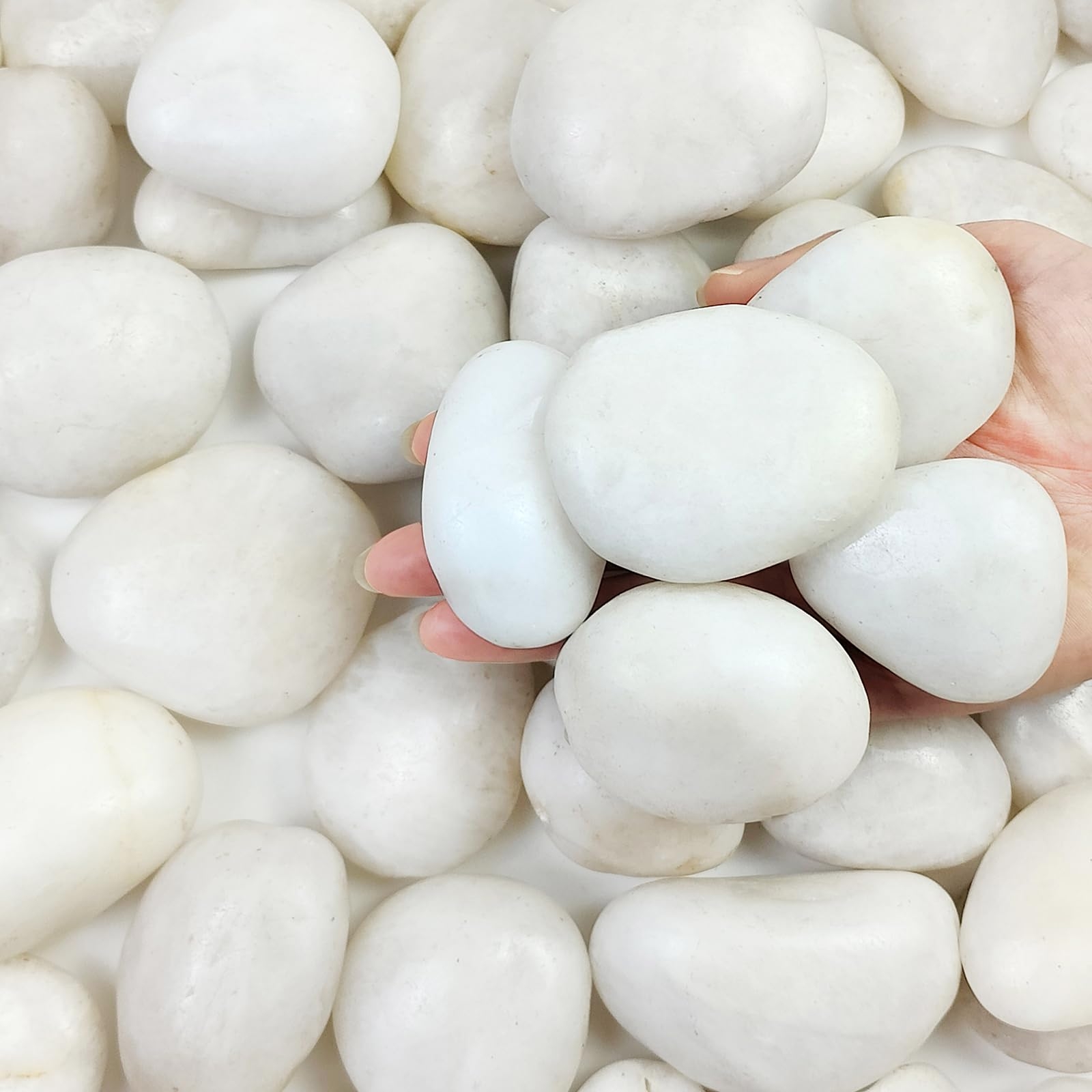 Amazon FANTIAN 40 Pounds Large White River Rocks For Outdoor Landscaping 2 3 Inch Natural White Stones For Planters Polished Decorative Pebbles For Indoor Plants Vase Aquarium And Garden Rocks Patio Lawn
