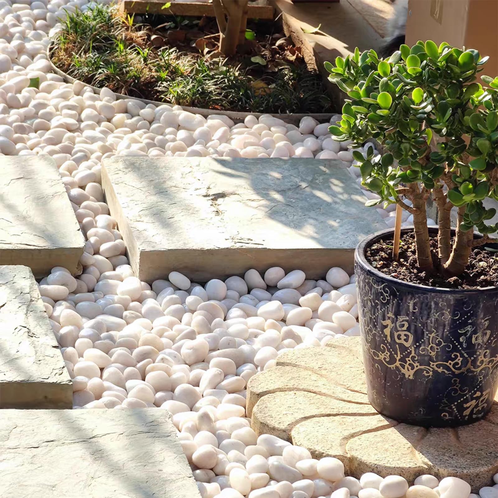 Amazon FANTIAN 5lbs White Pebbles For Indoor Plants 0 8 1 2 Inch Smooth White River Rocks For Potted Plants Decorative Polished Stones For Landscaping Vase Fish Tank And Outdoor Garden Pavers Patio Lawn