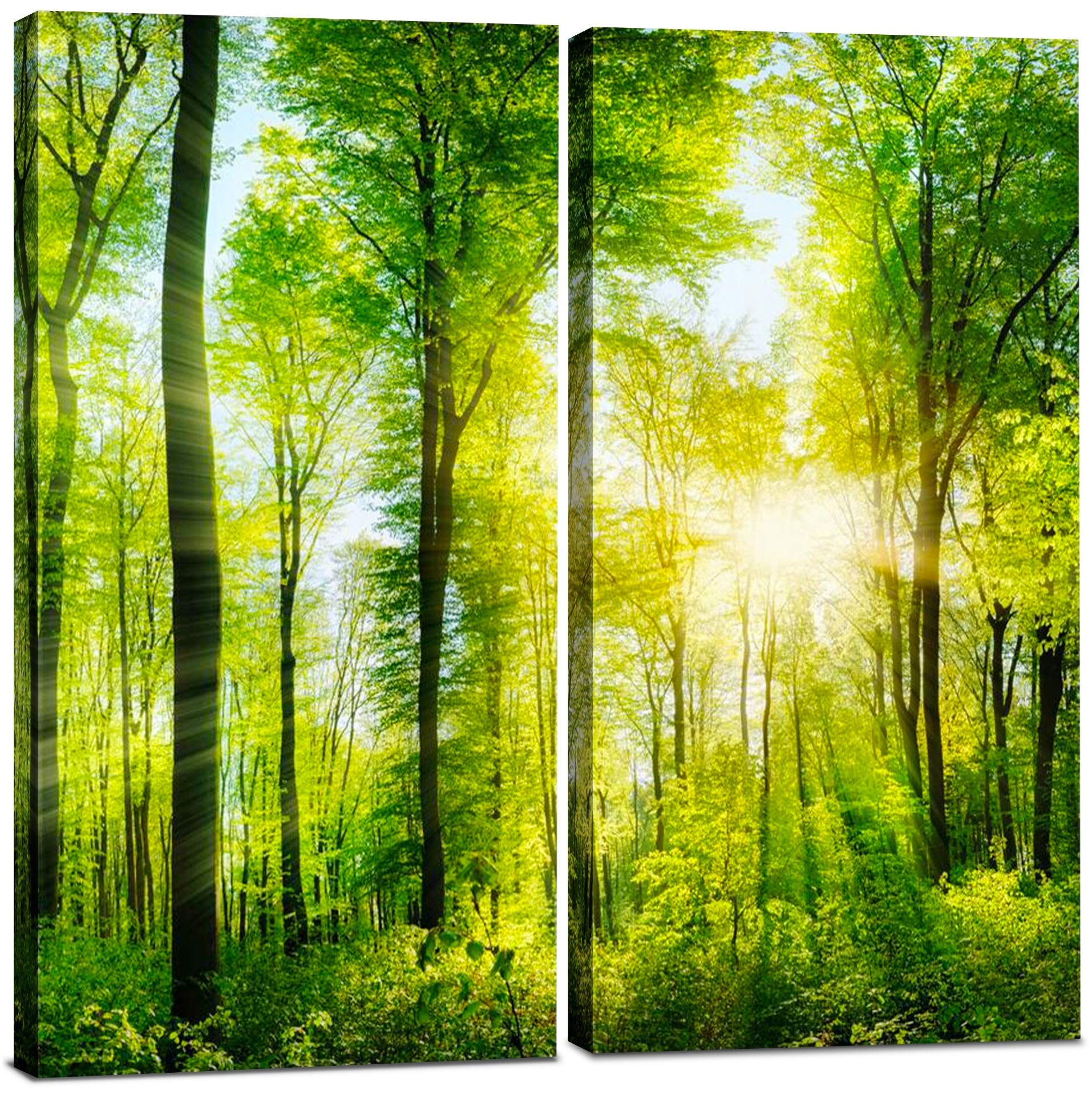 Amazon Forest Canvas Wall Art Decor 24x24 Tree Landscape Picture 2 Piece Set Decorative Multi Panel Split Prints For Living Room Kitchen Bedroom Office Home Decor Gift Posters Prints