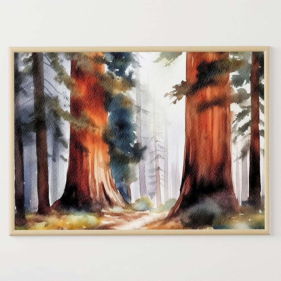 Amazon Generic Redwood Forest Painting Sequoia Watercolor Poster National Park Art Print California Landscape Woodland Wall Art Unframed 200 White Posters Prints