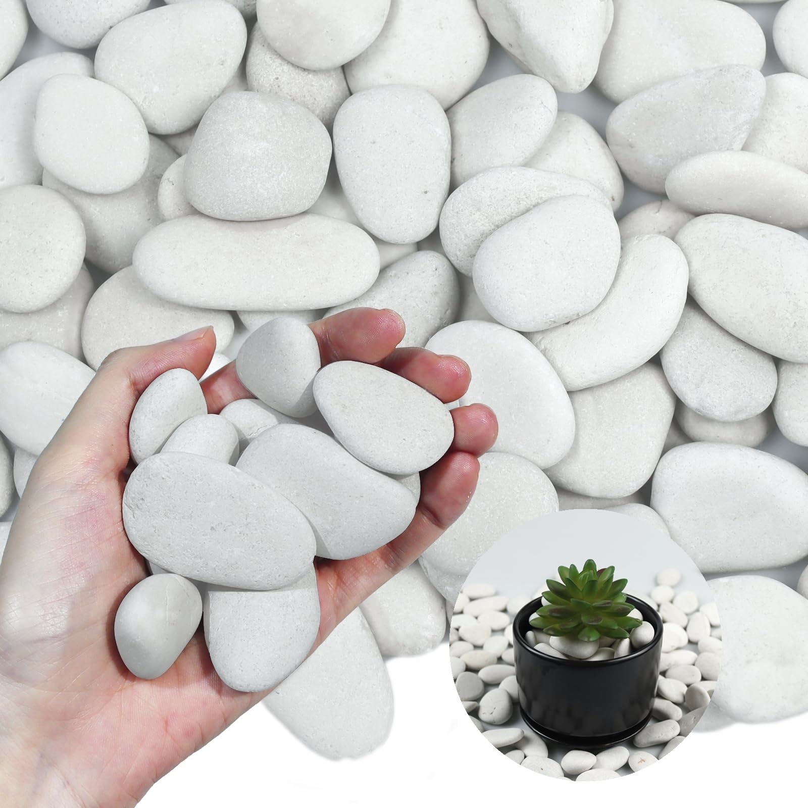 Amazon Lechloris 10Ib Pearl White River Rocks For Landscaping Polished Pebbles For Plants Garden Decorative Stones 1 1 5 Plant Rocks Ideal For Aquarium Home Decor Terrarium Patio Lawn Garden