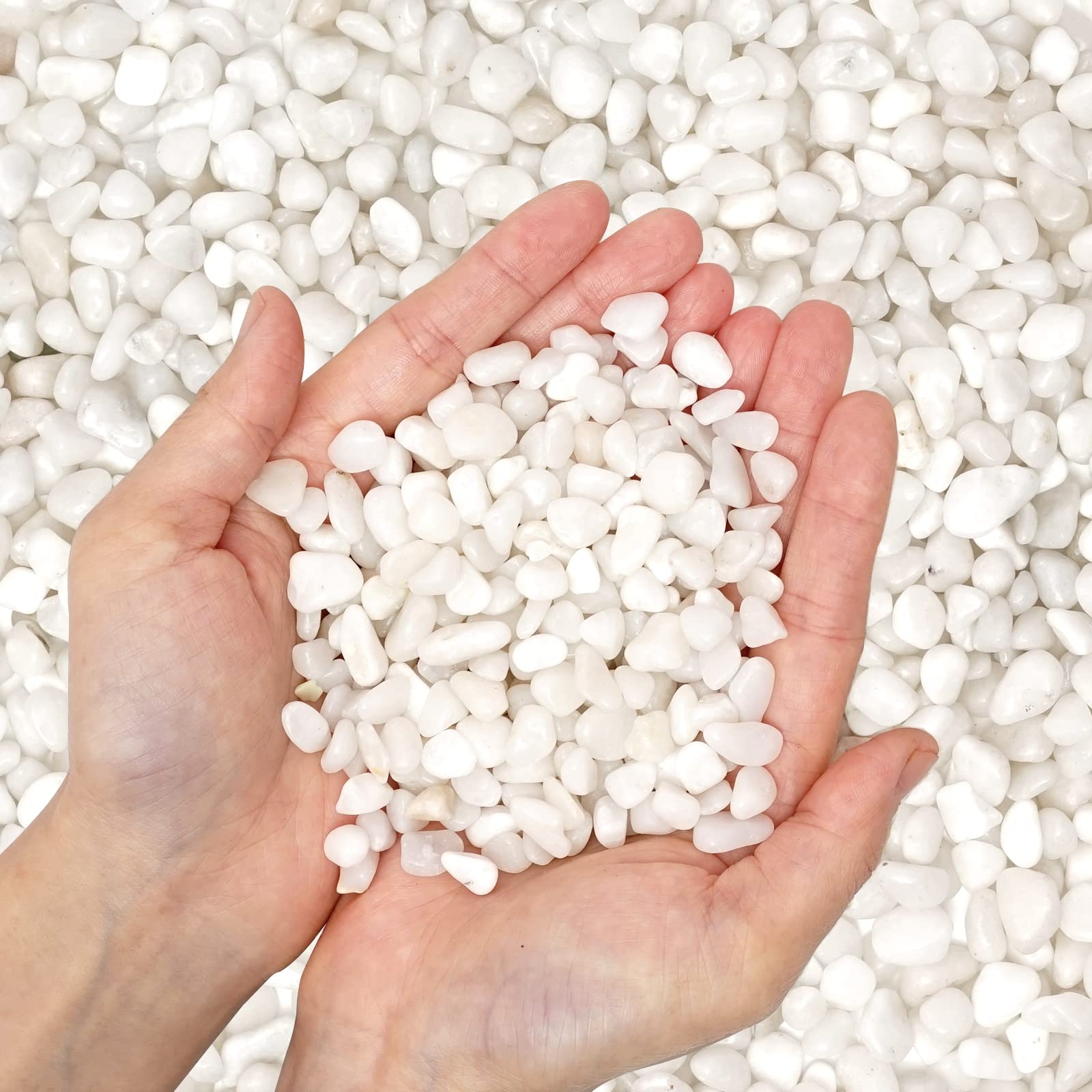 Amazon Natural Polished Decorative White Pebbles Small Stones 3 8 Gravel Size River Rocks Pebbles For Plants Home DIY Decor Aquarium Gravel Vase Fillers Fairy Garden Landscaping Outdoor Stones Everything Else