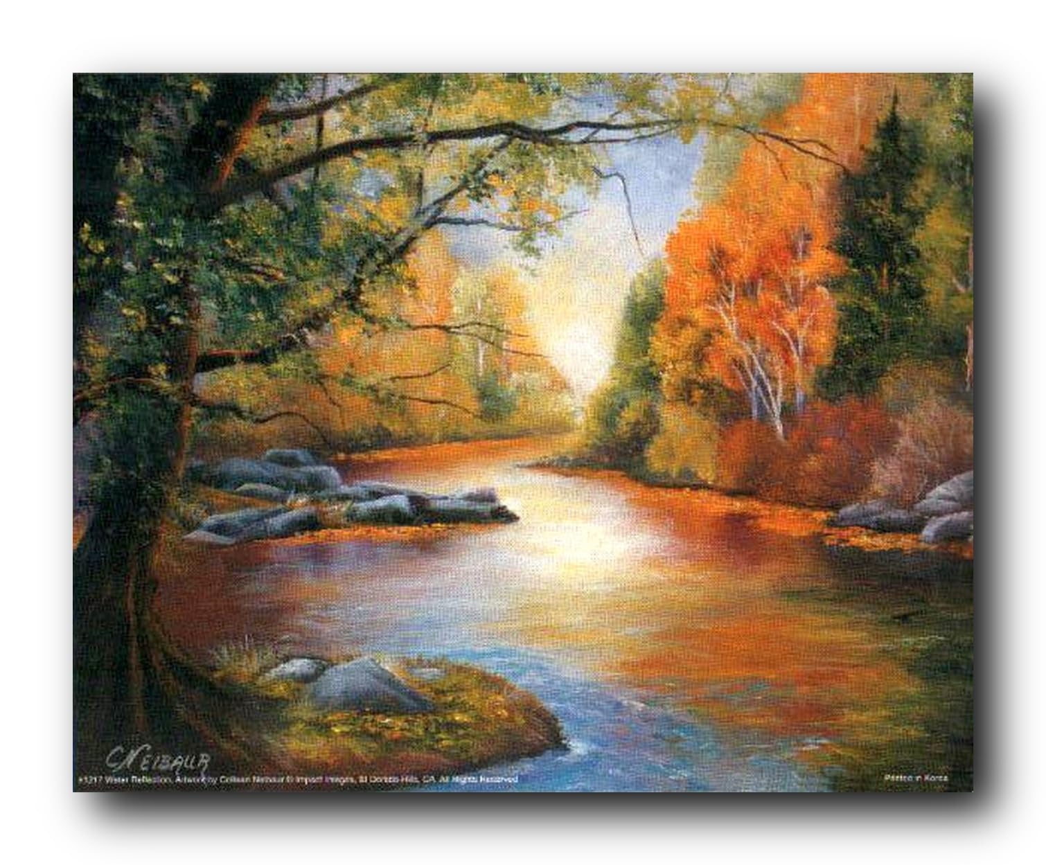 Amazon Scenery Forest Creek Water Reflection Nature Calming Landscape Wall Decor Art Print Poster 16x20 Perfect For Living Room Bedroom Or Office Posters Of Nature Posters Prints