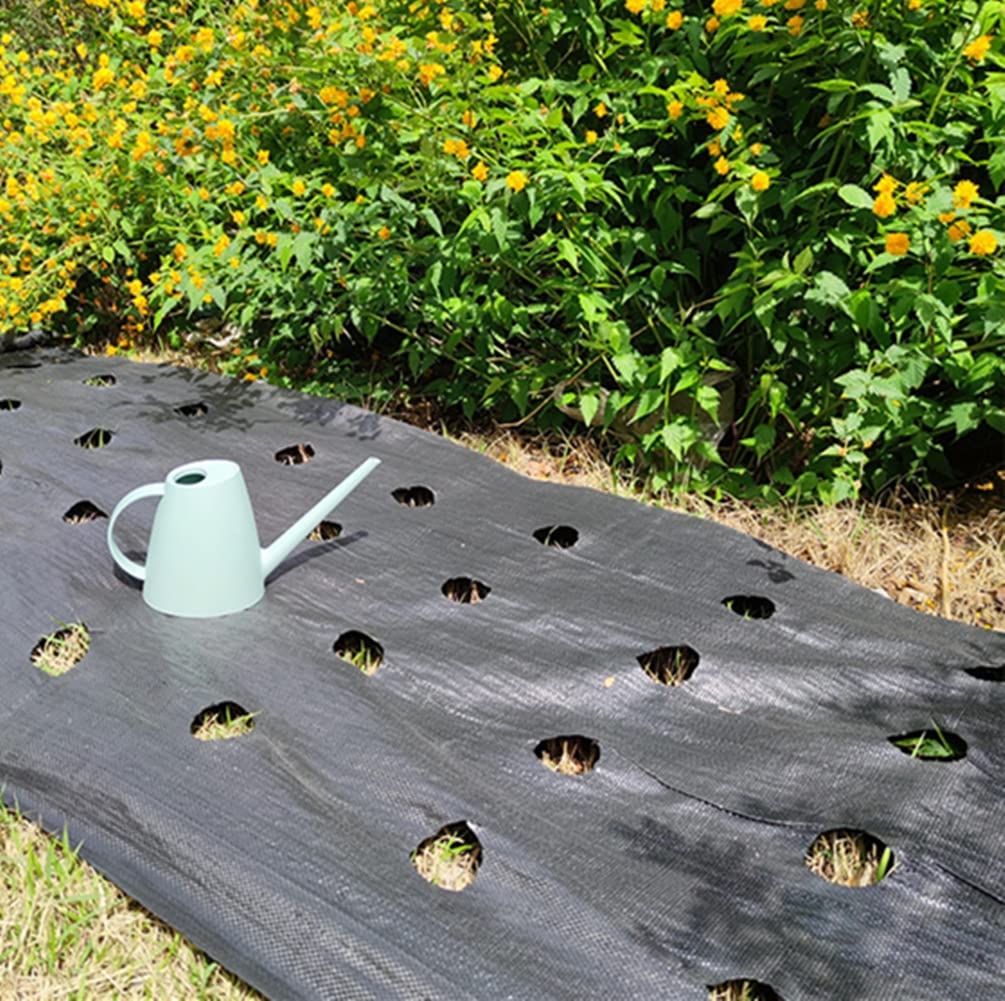 raised garden bed landscape fabric