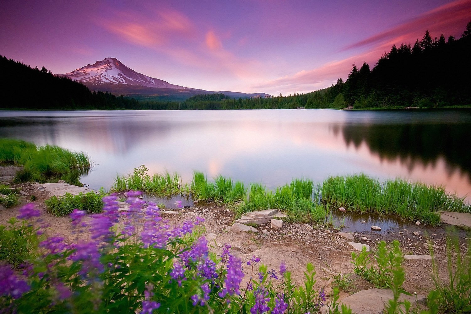 Amazon TST INNOPRINT CO Beautiful Landscape Nature Lake Sunset Flowers Mountains Photo Poster 20x30 Posters Prints