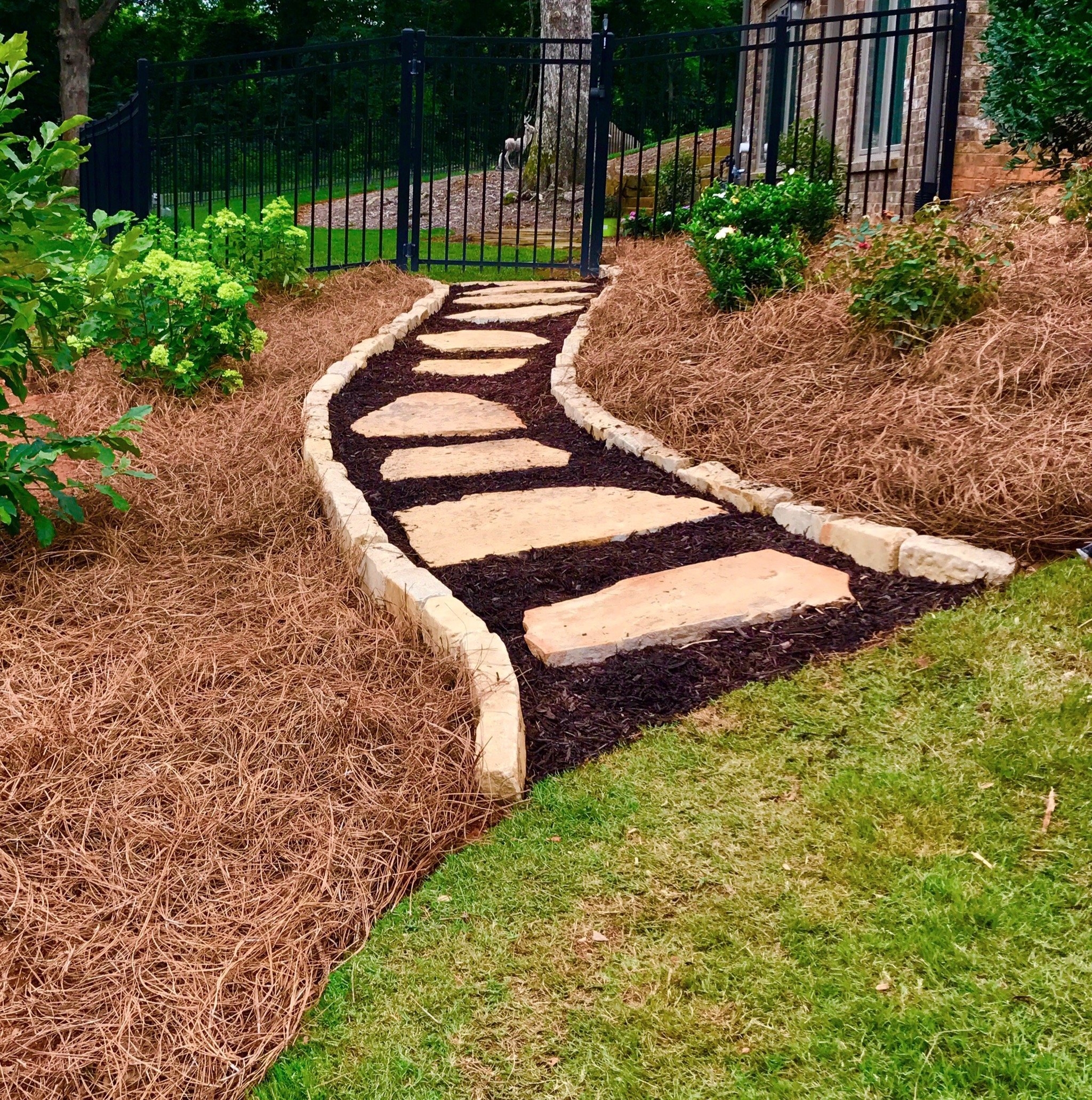 Amazon USA Pine Straw Pine Needle Mulch Covers 240 Sqft Patio Lawn Garden