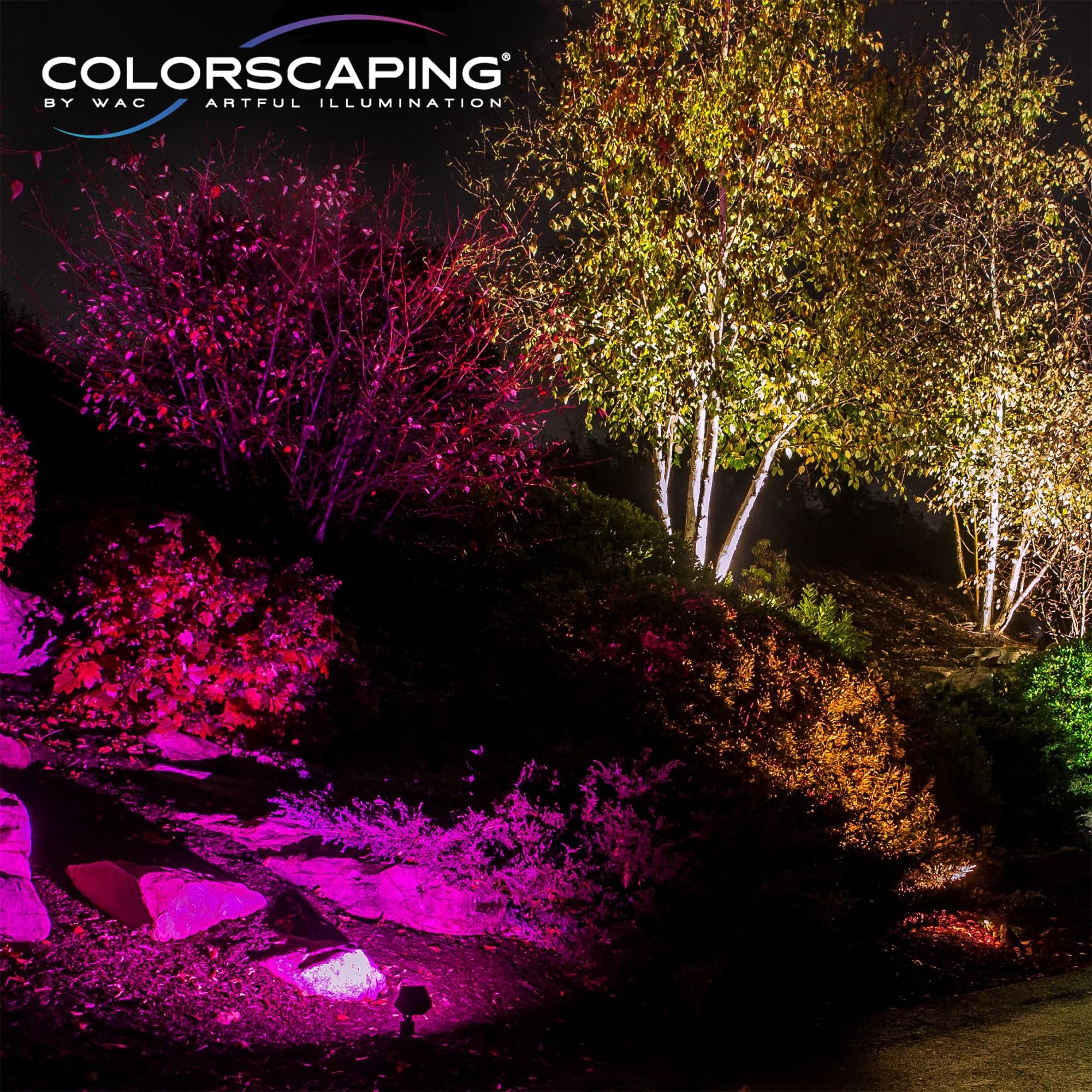 Amazon WAC Lighting LED Colorscaping Smart App Controllable Landscape Lighting With RGBWW Color Changing And Tunable White Power Accent 14W Light In Bronze