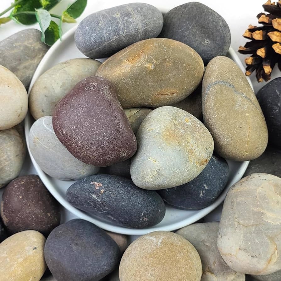 Amazon YISZM 20lbs Natural River Rocks 2 3 Premium Pebbles For Garden And Landscape Design Hand Picked Smooth Stones For Fish Tank Flower Pots Indoor Water Fountains Pathways Backyard Pet Supplies