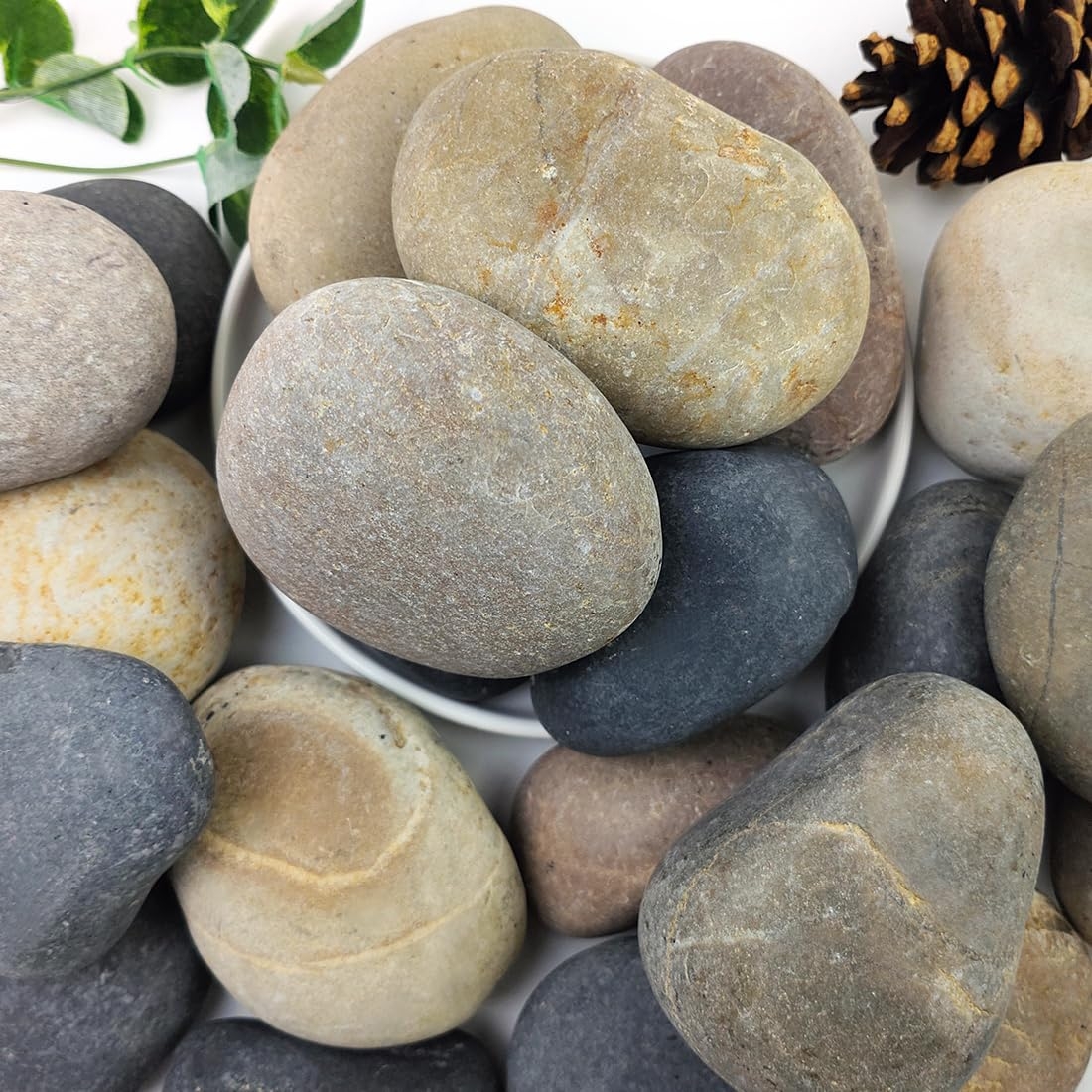 Amazon YISZM 20lbs Natural River Rocks 3 4 Premium Pebbles For Garden And Landscape Design Hand Picked Smooth Stones For Fish Tank Flower Pots Indoor Water Fountains Pathways Backyard Pet Supplies