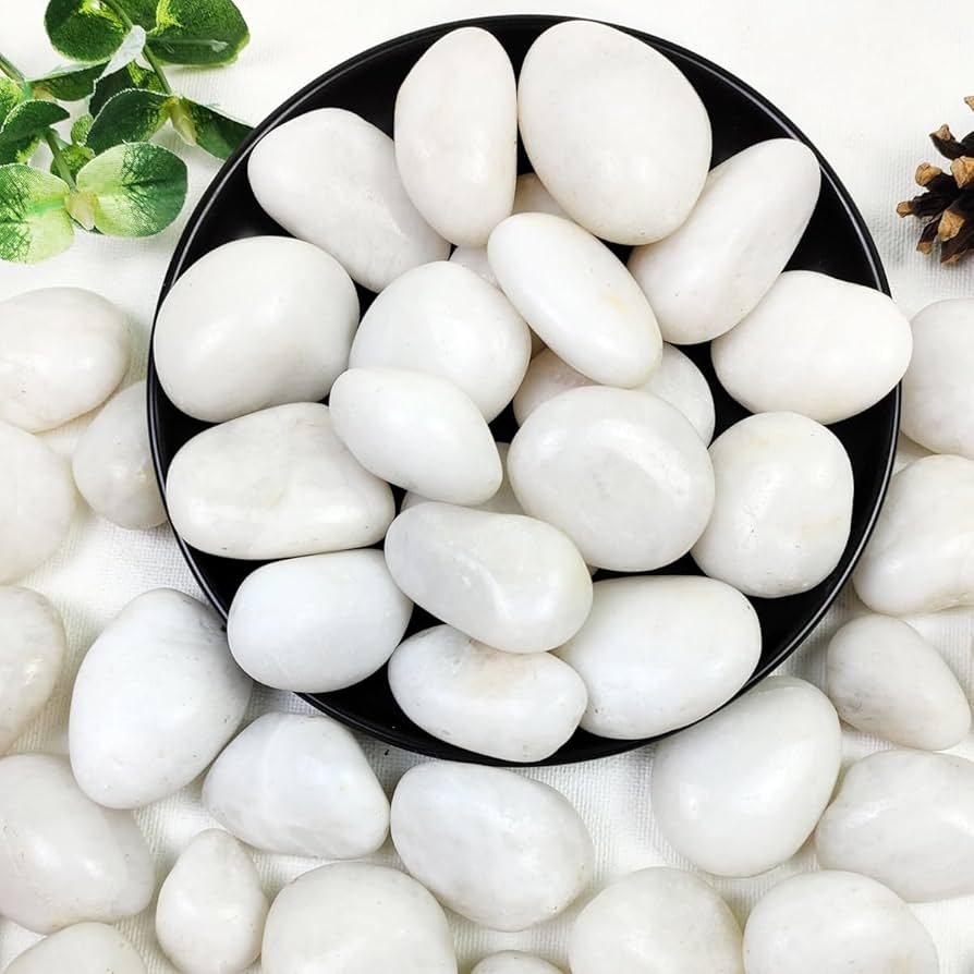 Amazon YISZM 40lbs White River Rocks For Garden Landscaping 1 2 Inch Natural Pebbles For Indoor Plants High Polished Decorative Stones Outdoor And Indoor DIY Vase Filler Fish Tank Aquariums Patio Lawn