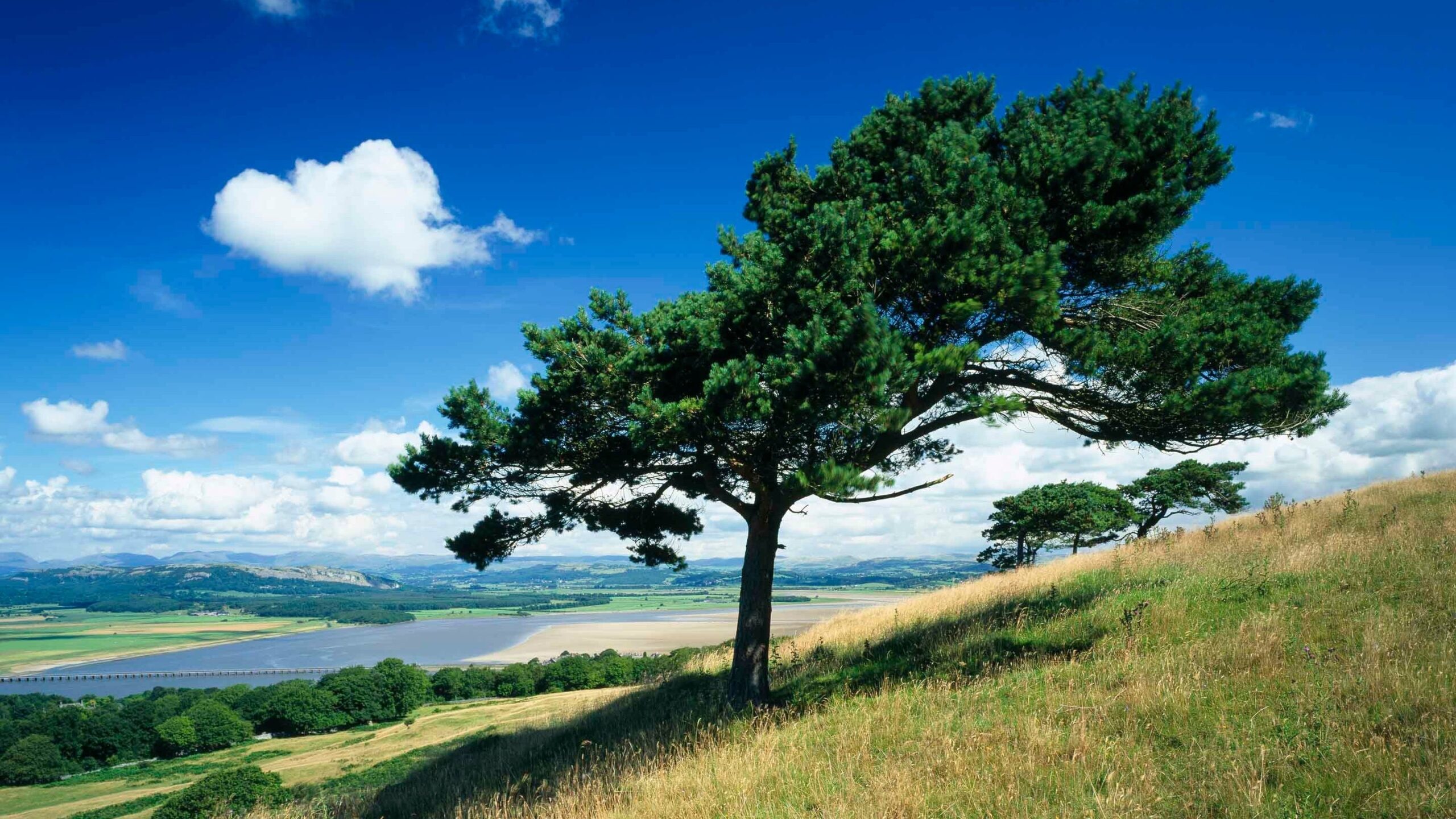 Arnside And Silverdale Lake District National Trust