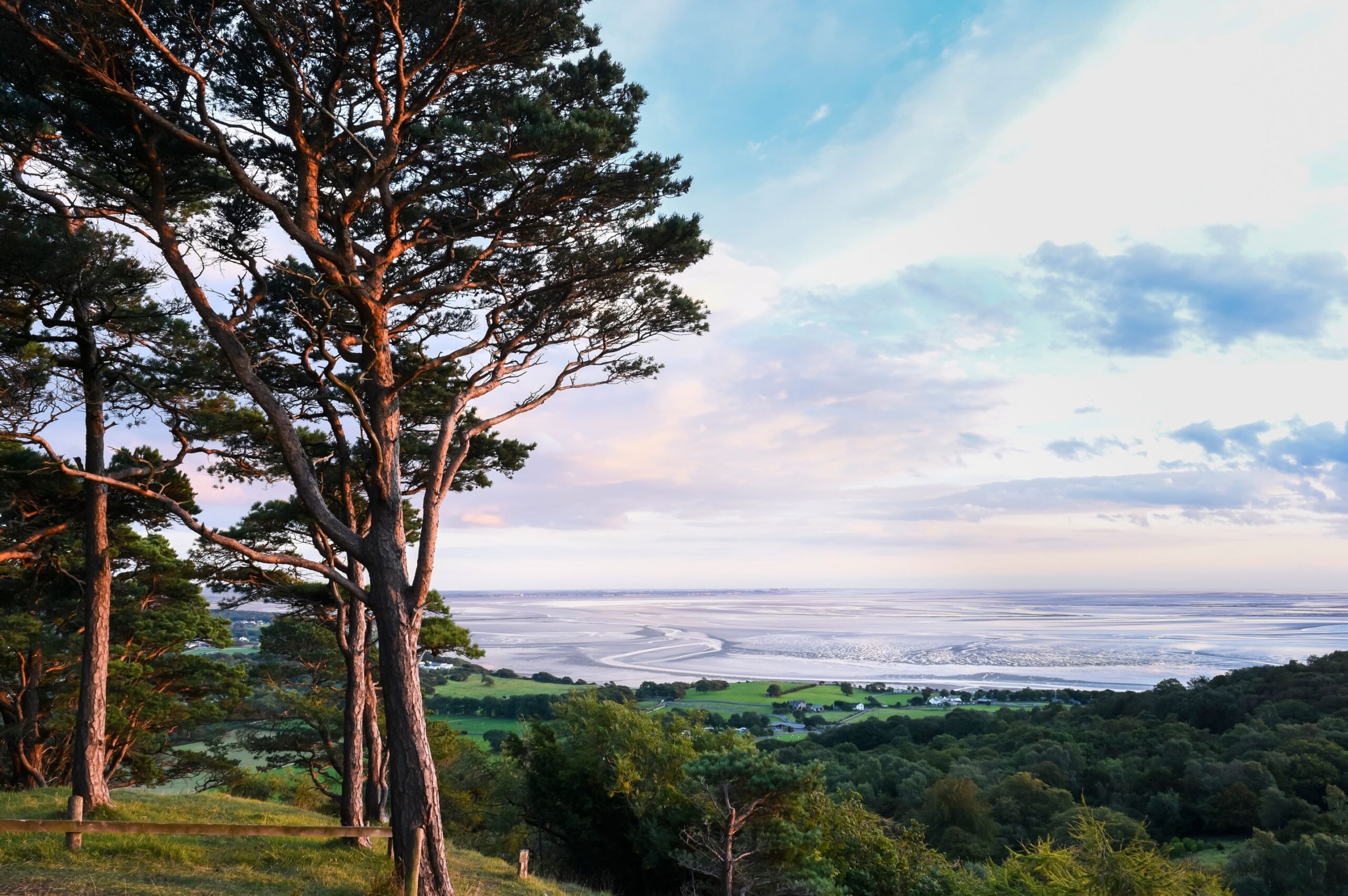 Arnside Knott Circular Walk Cumbria National Trust