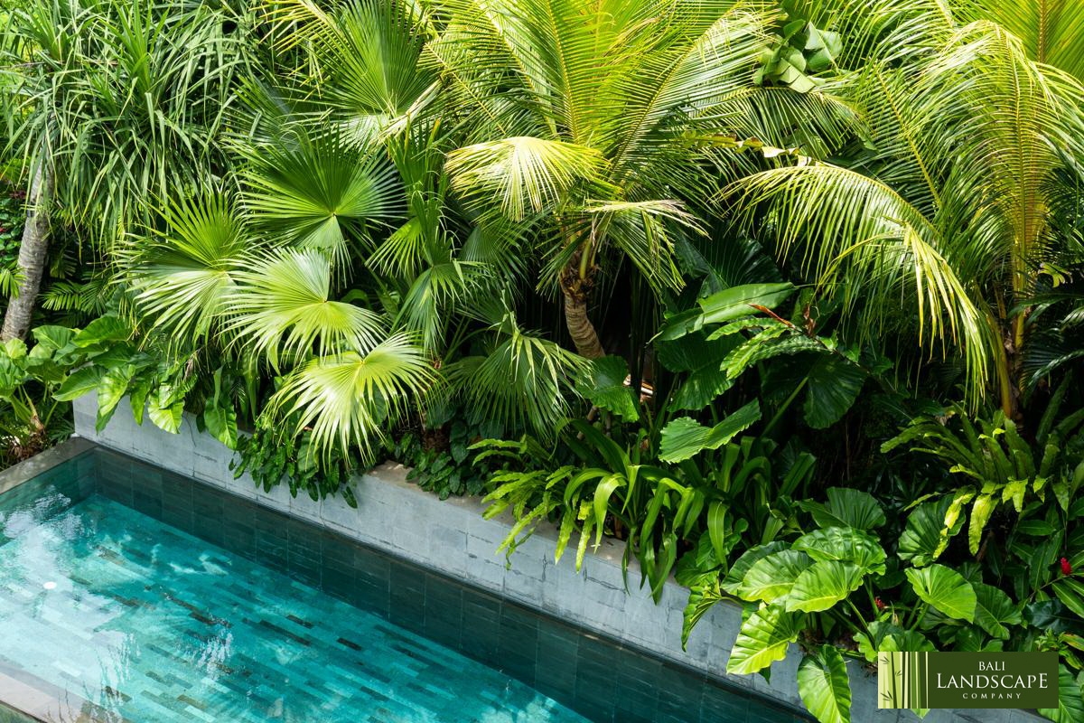 Bali Landscape Company Landscape Design Architecture