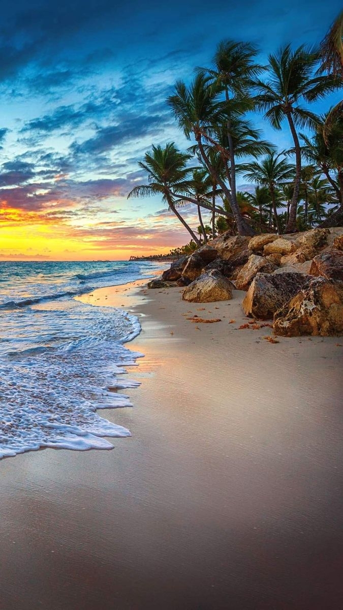 Beach Landscape