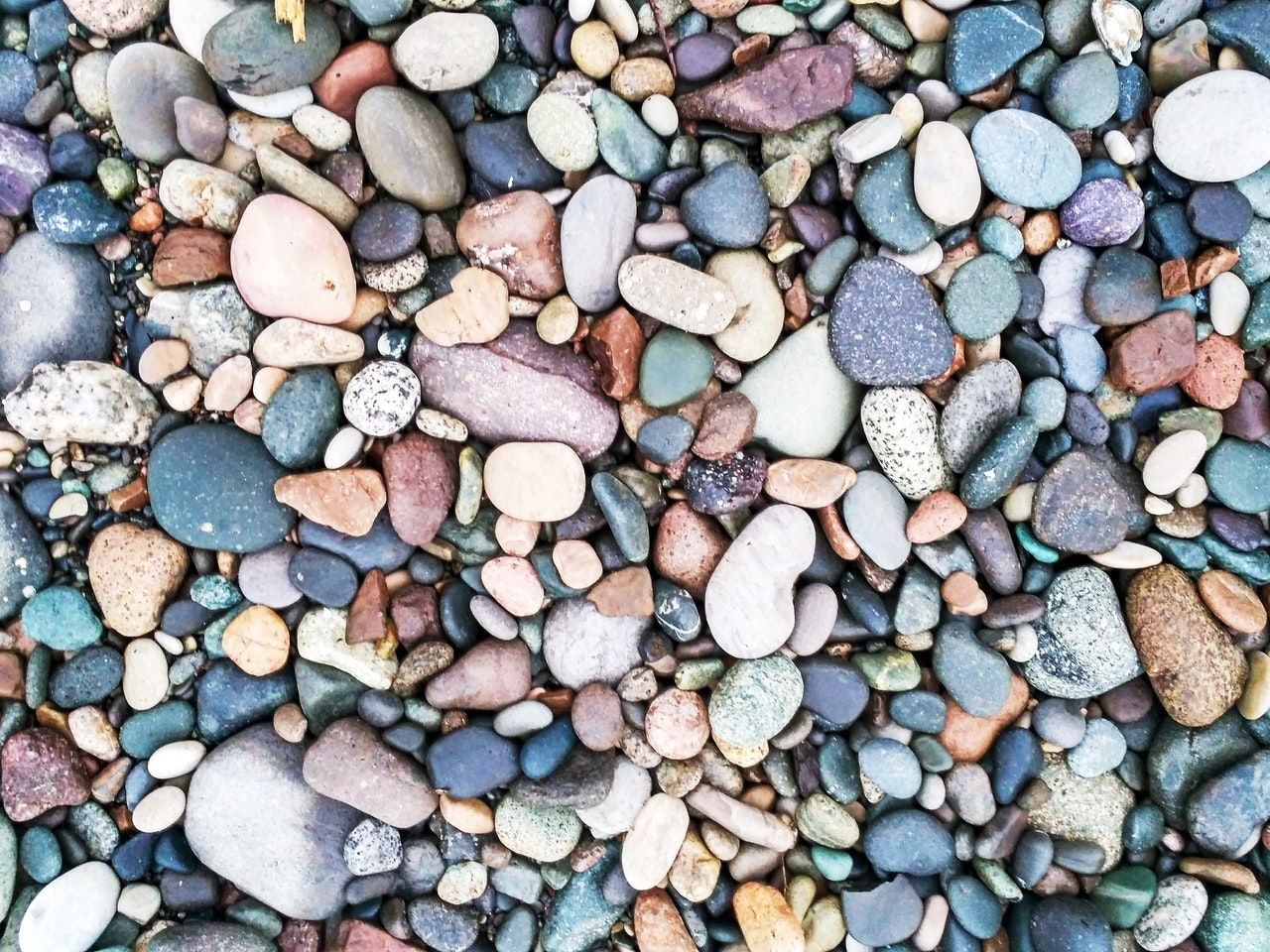Beautiful Decorative Rocks To Incorporate In Your Yard Wholesale Landscaping Supplies Irwindale CA