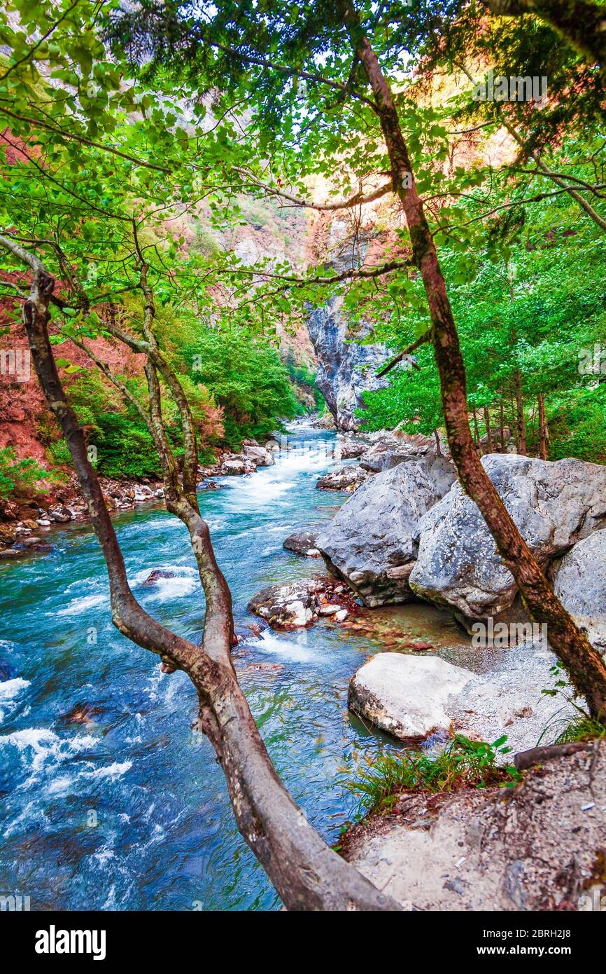 Beautiful Landscape Nature Forest Mountain And Blue Stream Beauty Nature Scenery View Background Stock Photo Alamy