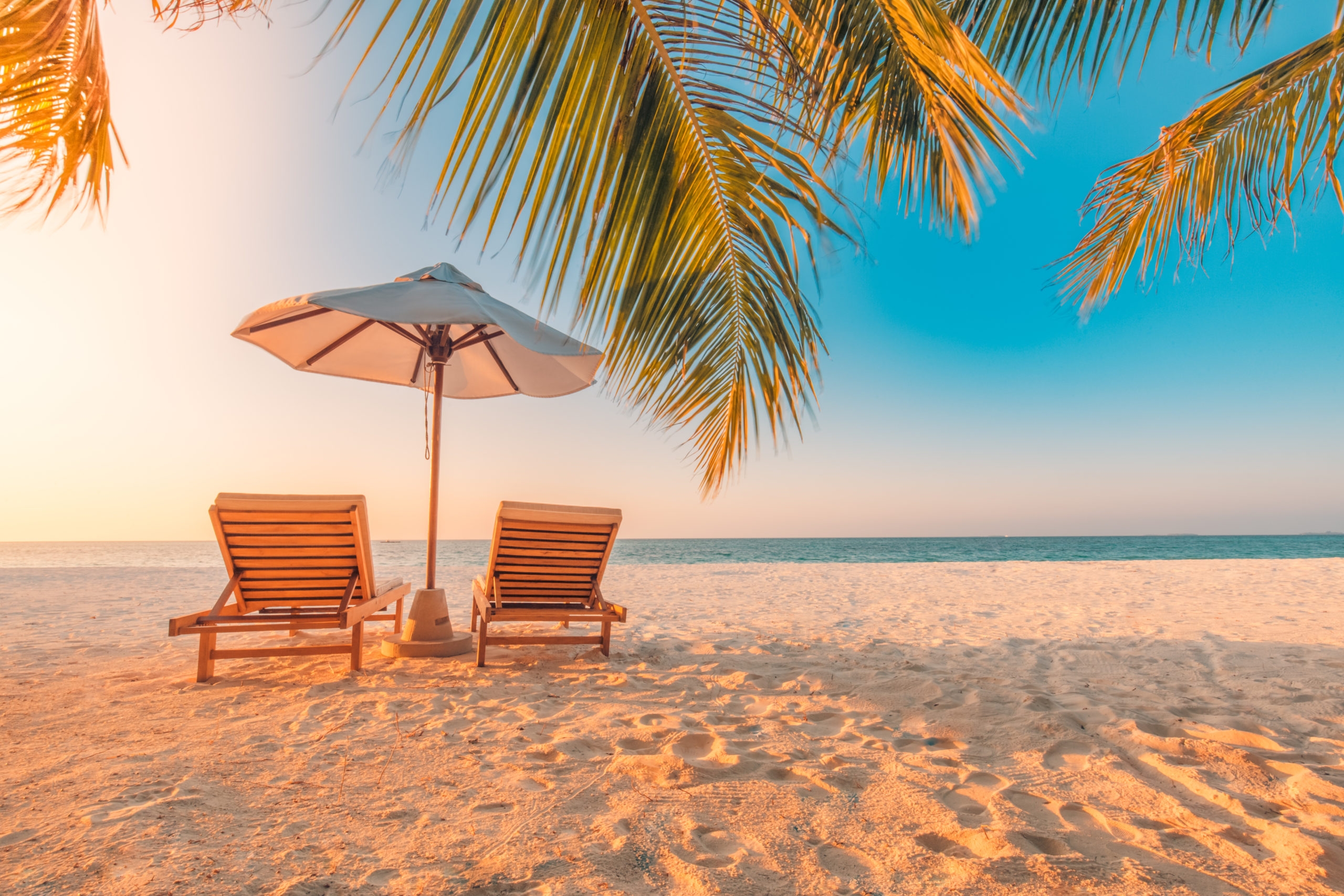 Beautiful Tropical Beach Banner White Sand And Coco Palms Travel Tourism Wide Panorama Background Concept Amazing Beach Landscape Day Air Credit Union