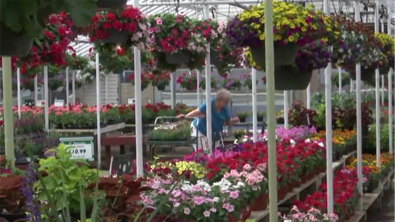 Beavercreek Plant Lovers Gather To Restore Ransacked Garden Center WDTN Beavercreek Plant Lovers Gather To Restore Ransacked Garden Center WDTN
