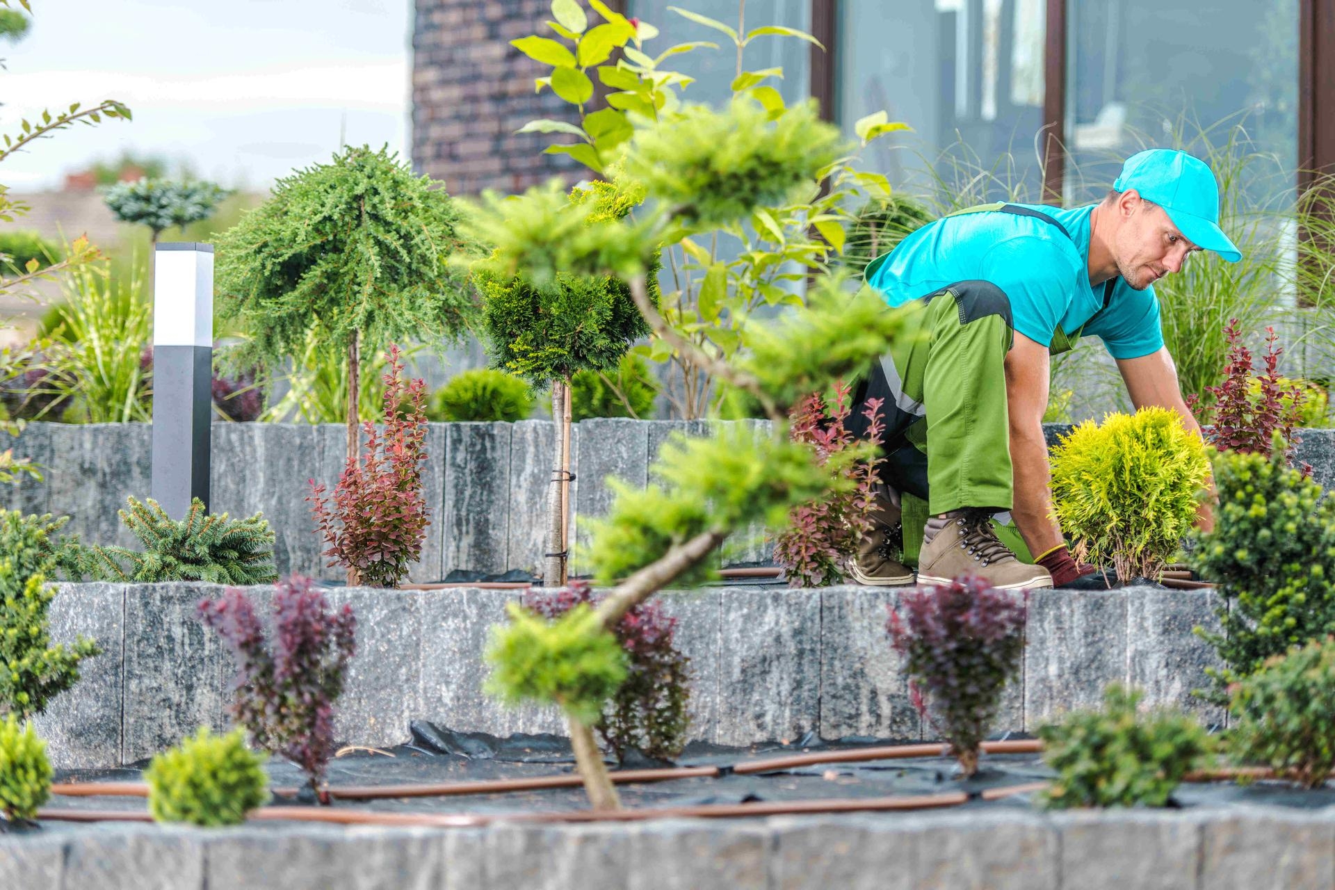 gardeners and landscaping