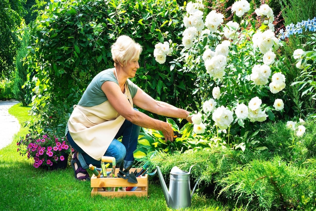Benefits Of Gardening For Connecting With Nature Community