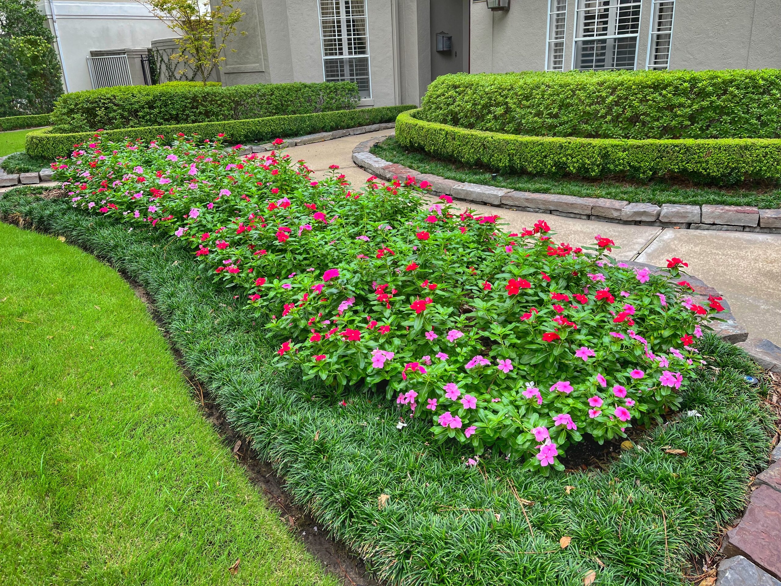 Best Annual Flowers For LMC Houston s Commercial Landscapes Lawn Management Company