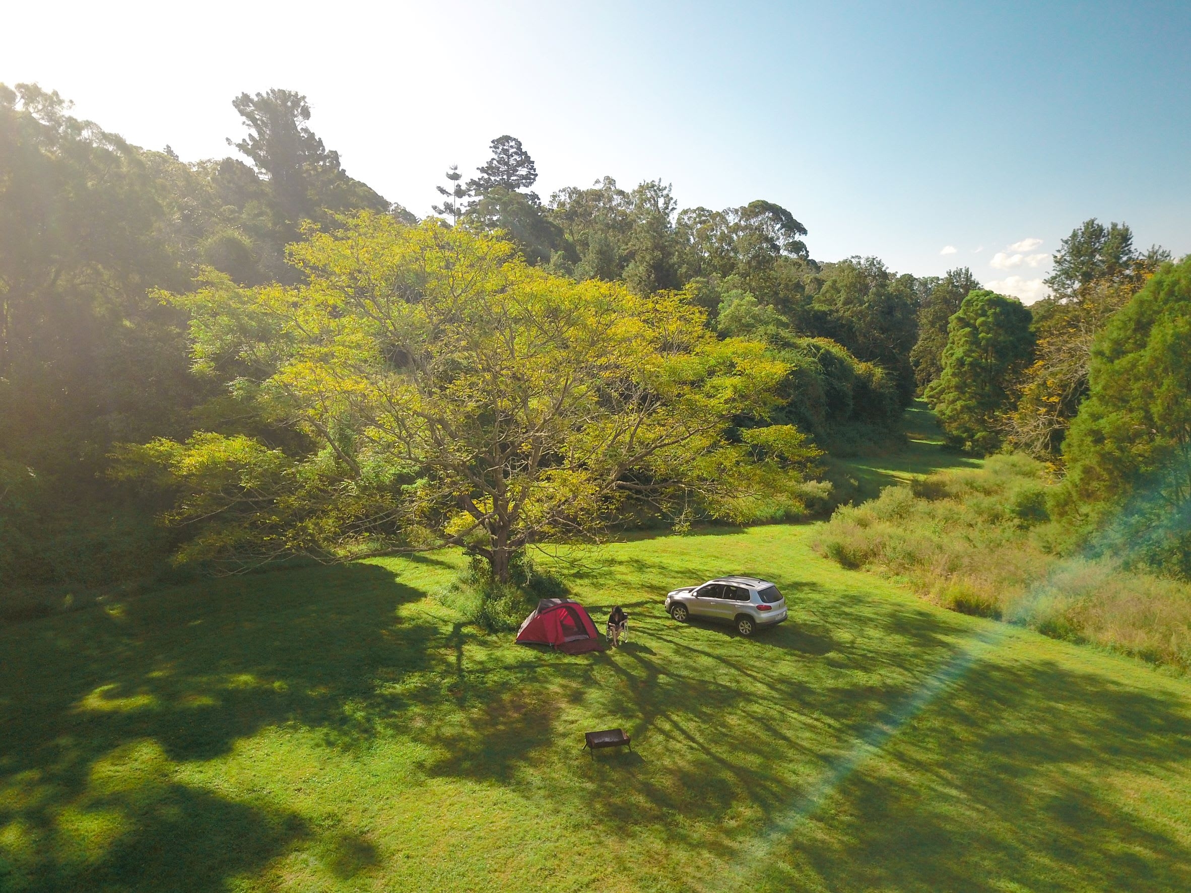 woodford forest and landscape