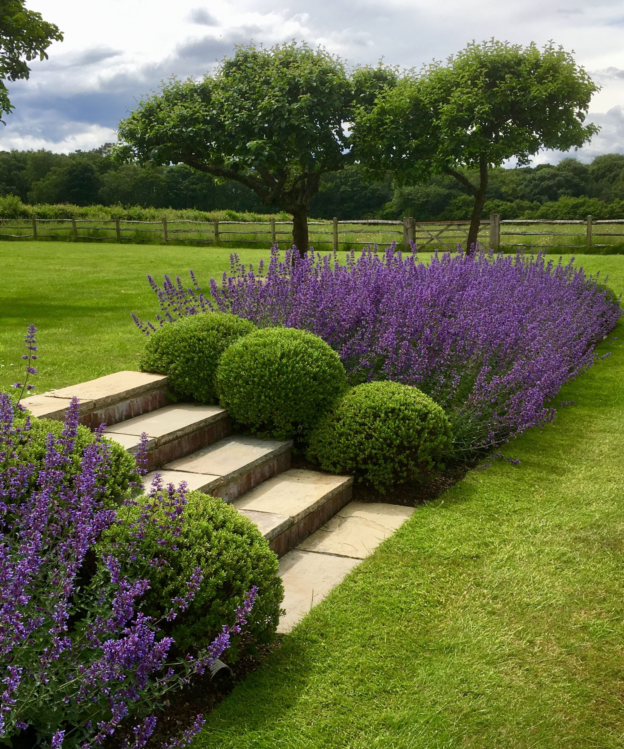 Best Evergreen Shrubs 10 Best Perennial Shrubs Homes And Gardens
