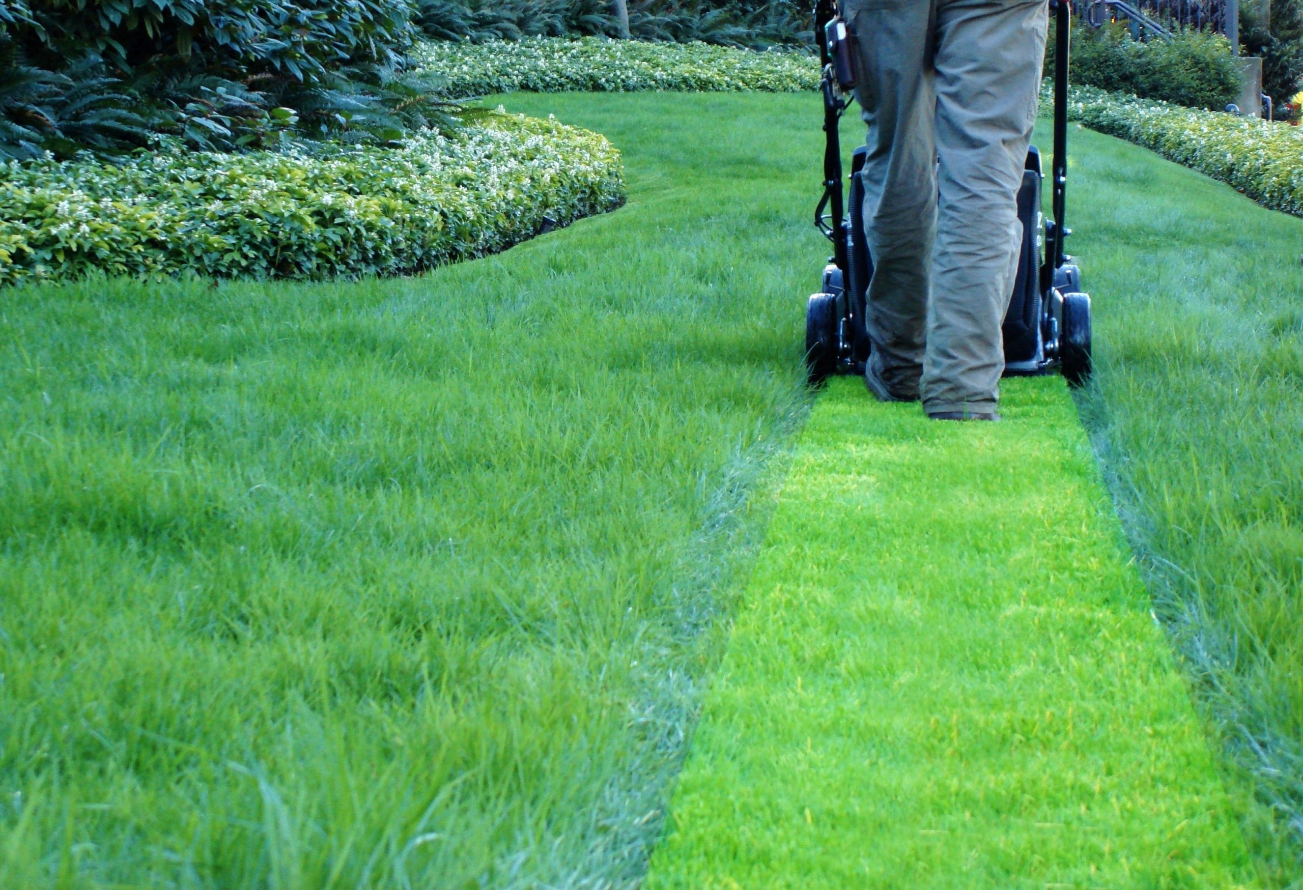 Best Landscapers Near Me Cleveland Parma Ohio