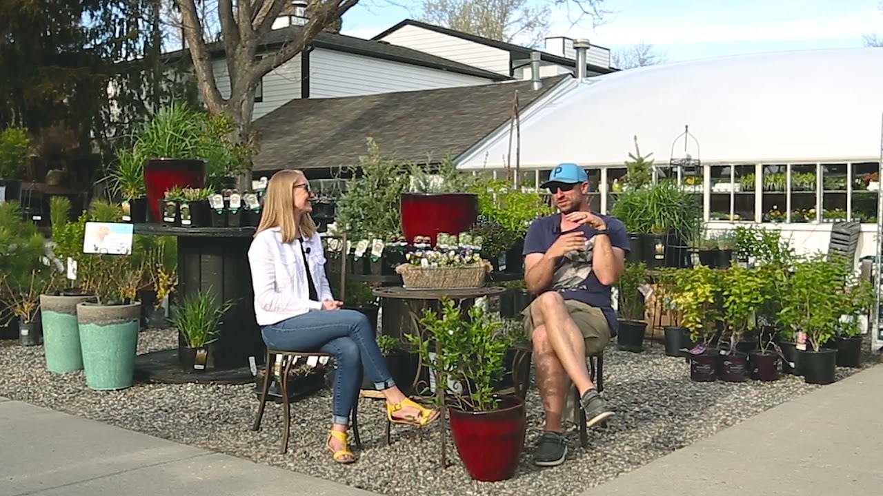 Best Of Billings Episode 4 Roots Garden Center YouTube Best Of Billings Episode 4 Roots Garden Center YouTube